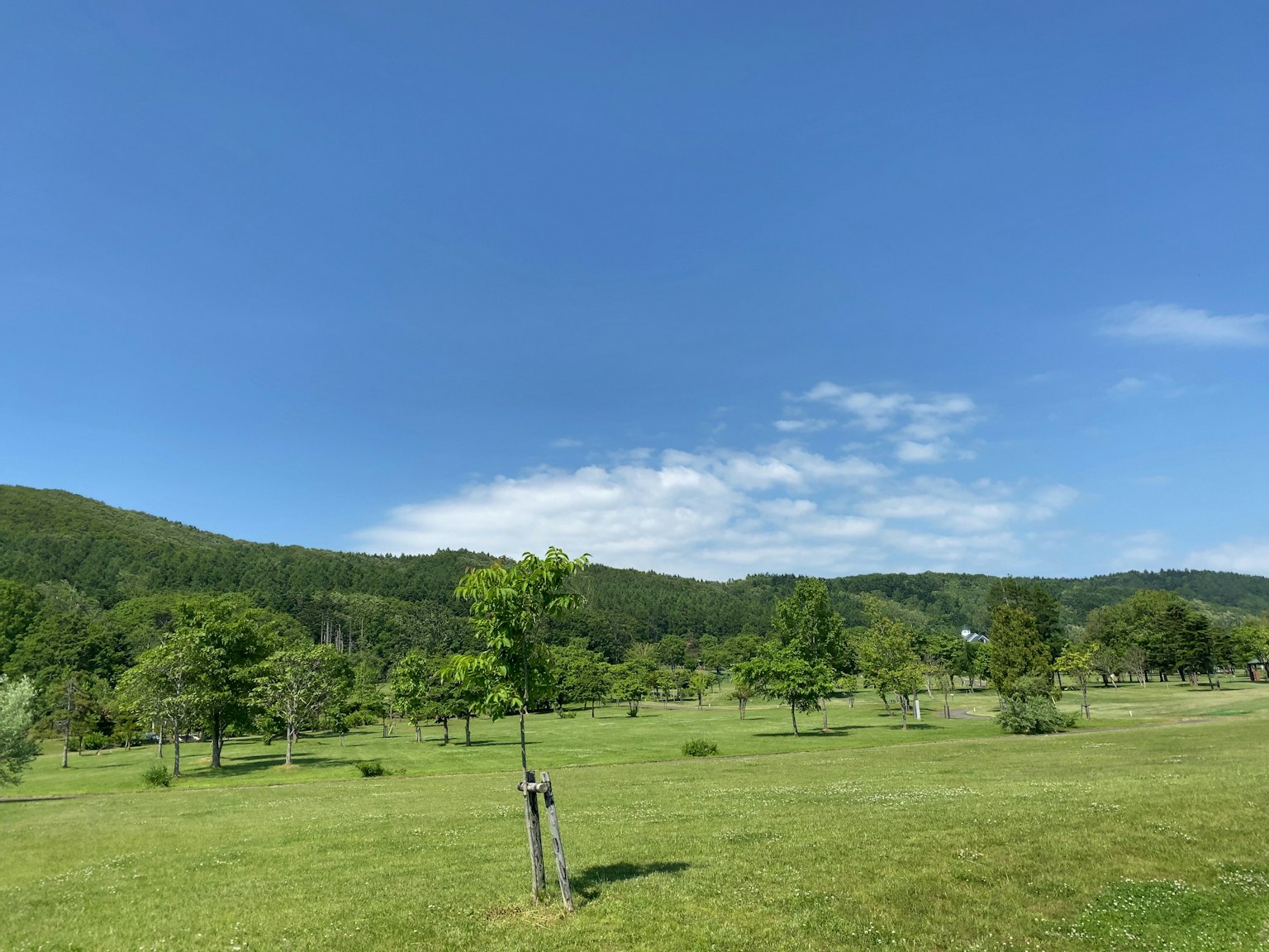 Vue pittoresque d'une prairie verte sous un ciel bleu avec des collines au loin