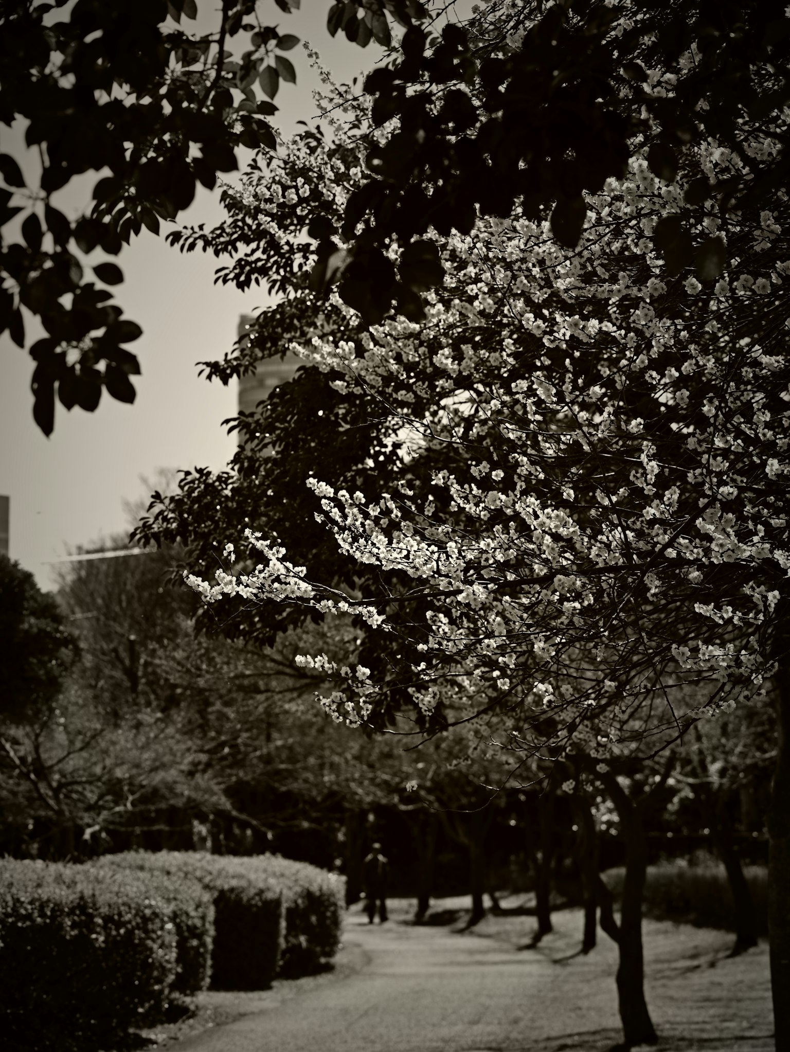 photo-uZcU4CRwNGdbkWIqgPUQ-image