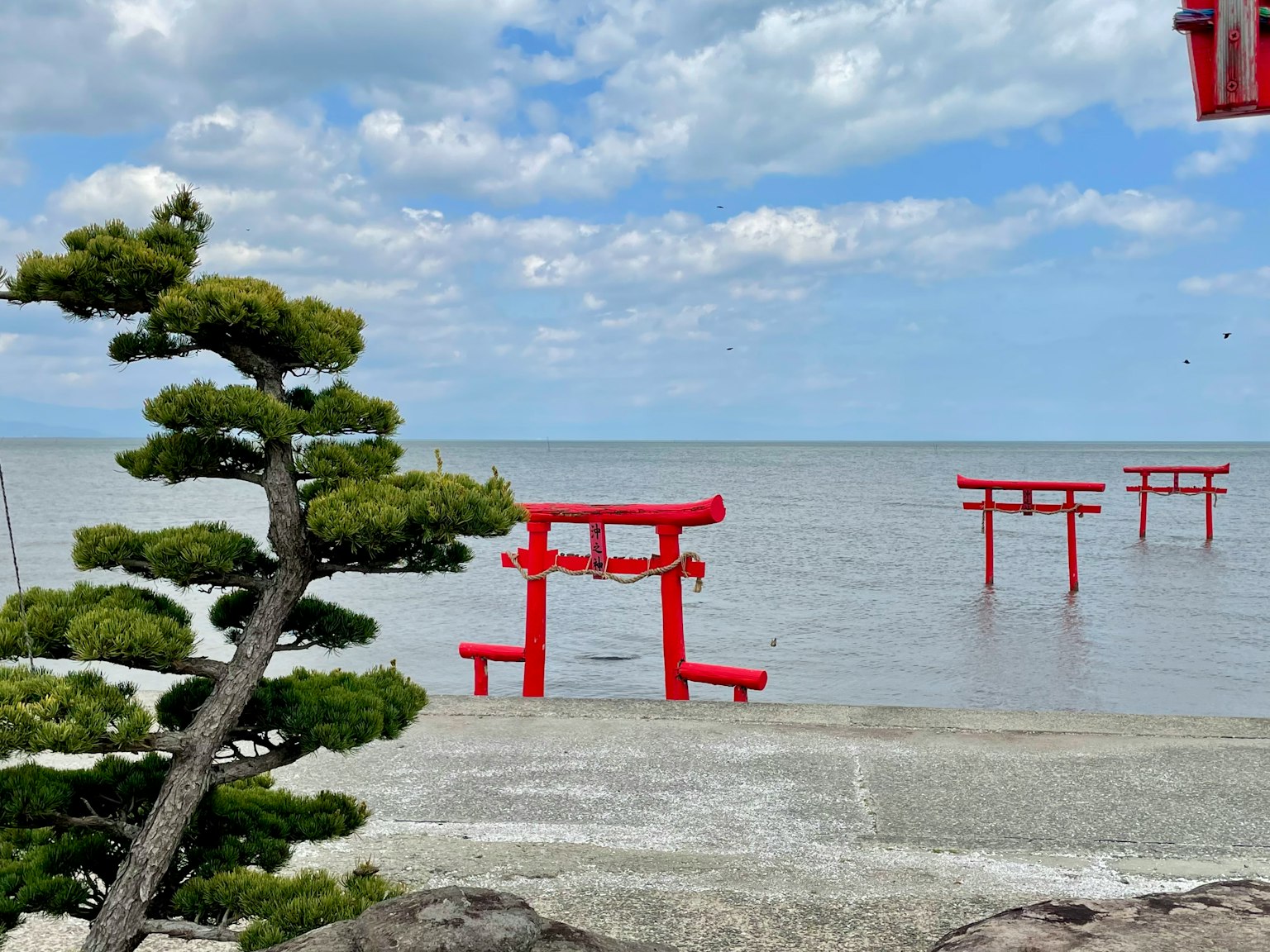 Portes torii rouges flottant dans la mer avec un pin