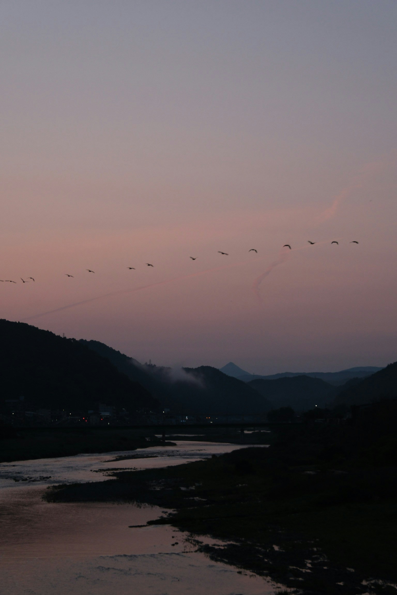 Silhouetted birds flying across a twilight sky over a calm river