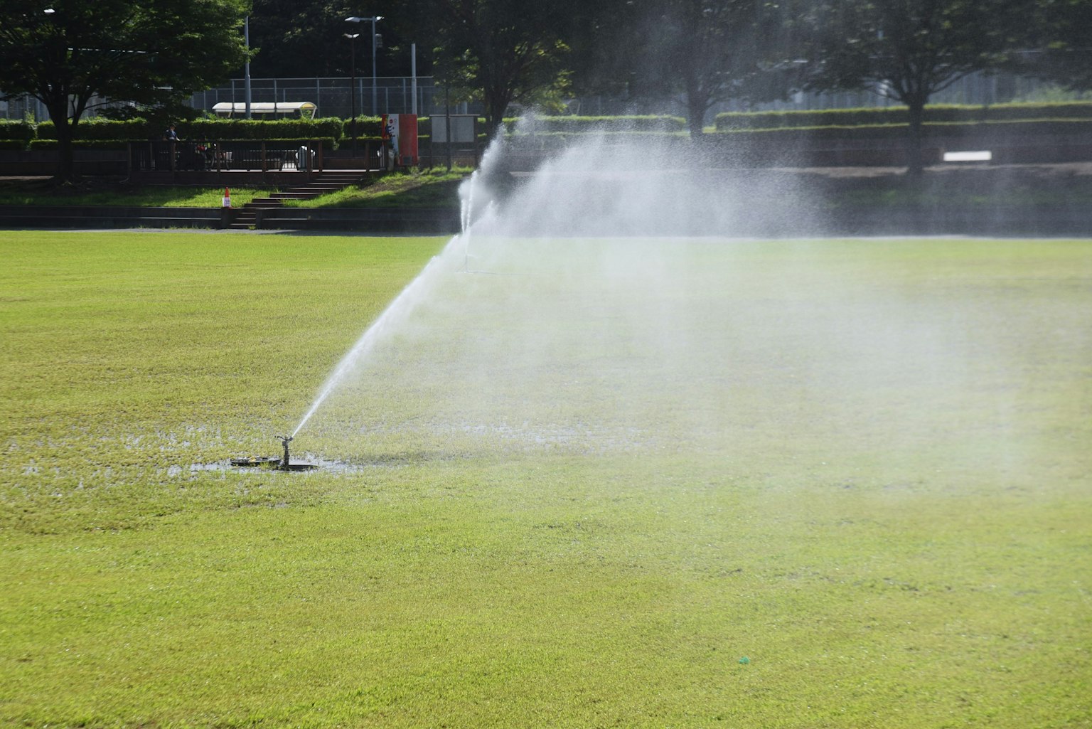 Sprinkler, der Wasser auf üppigem grünem Gras sprüht