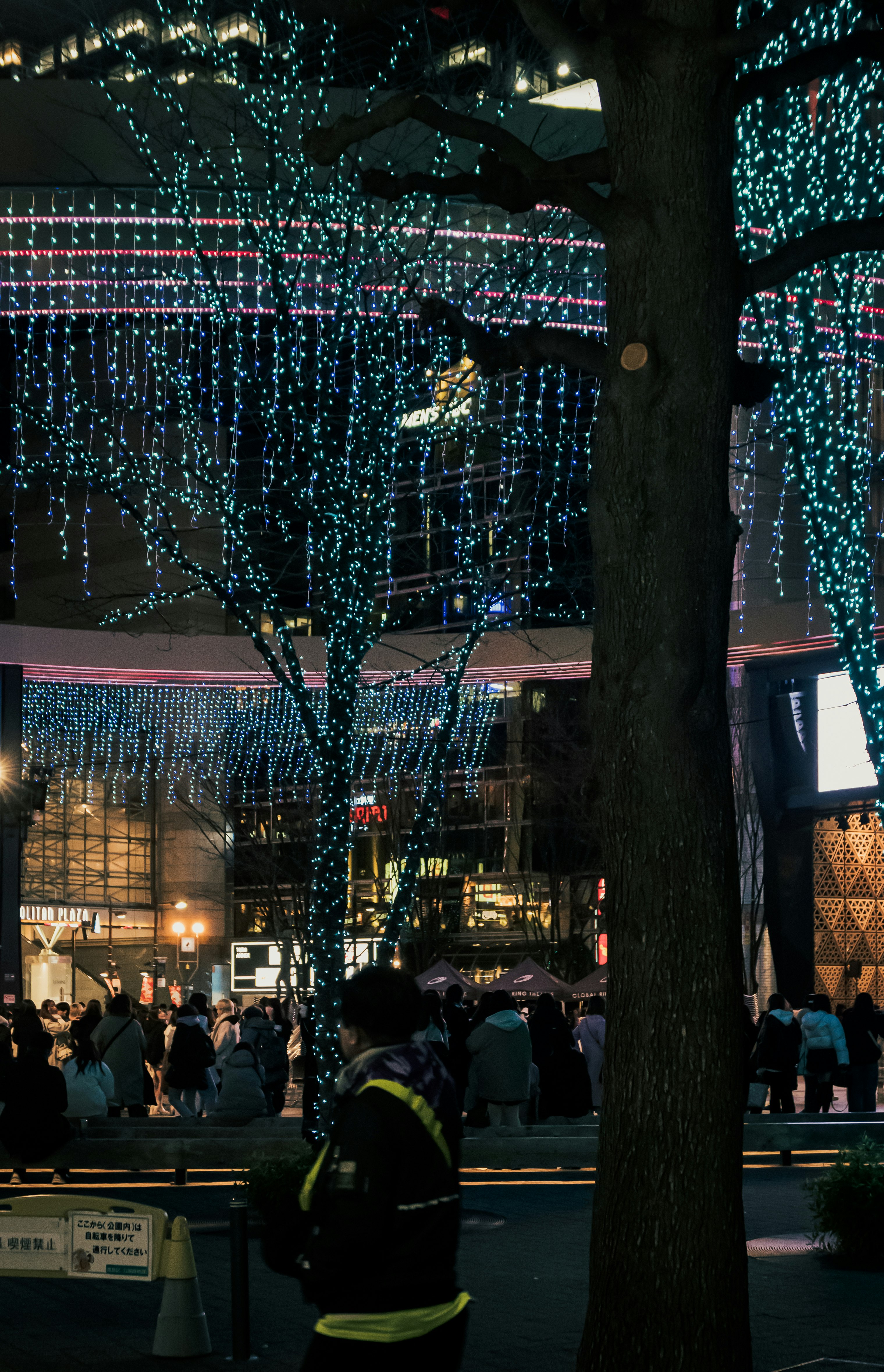 scena notturna in strada con alberi avvolti da luci decorative sospese