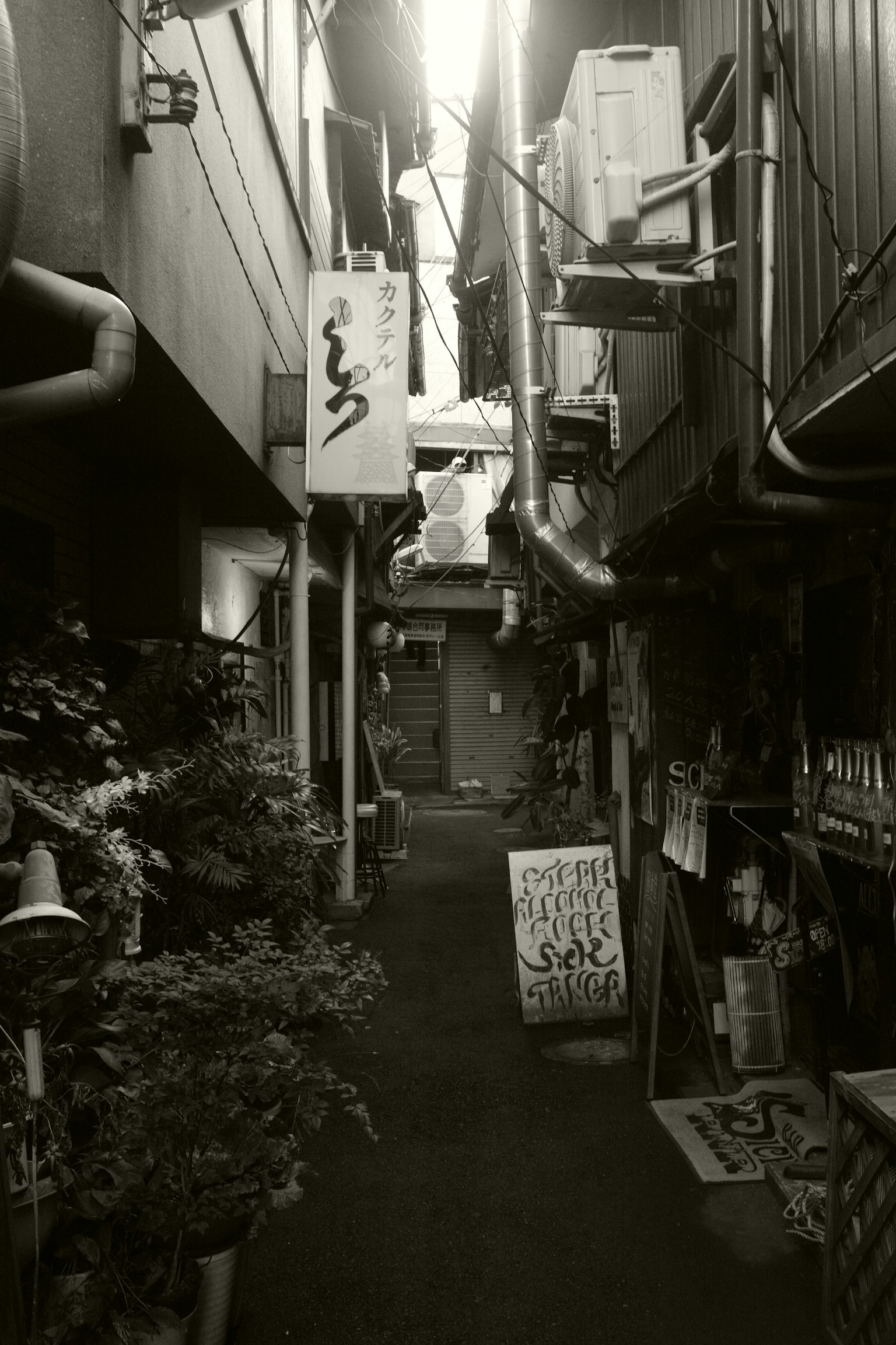 Narrow alley with restaurant signs and plants lining the sides