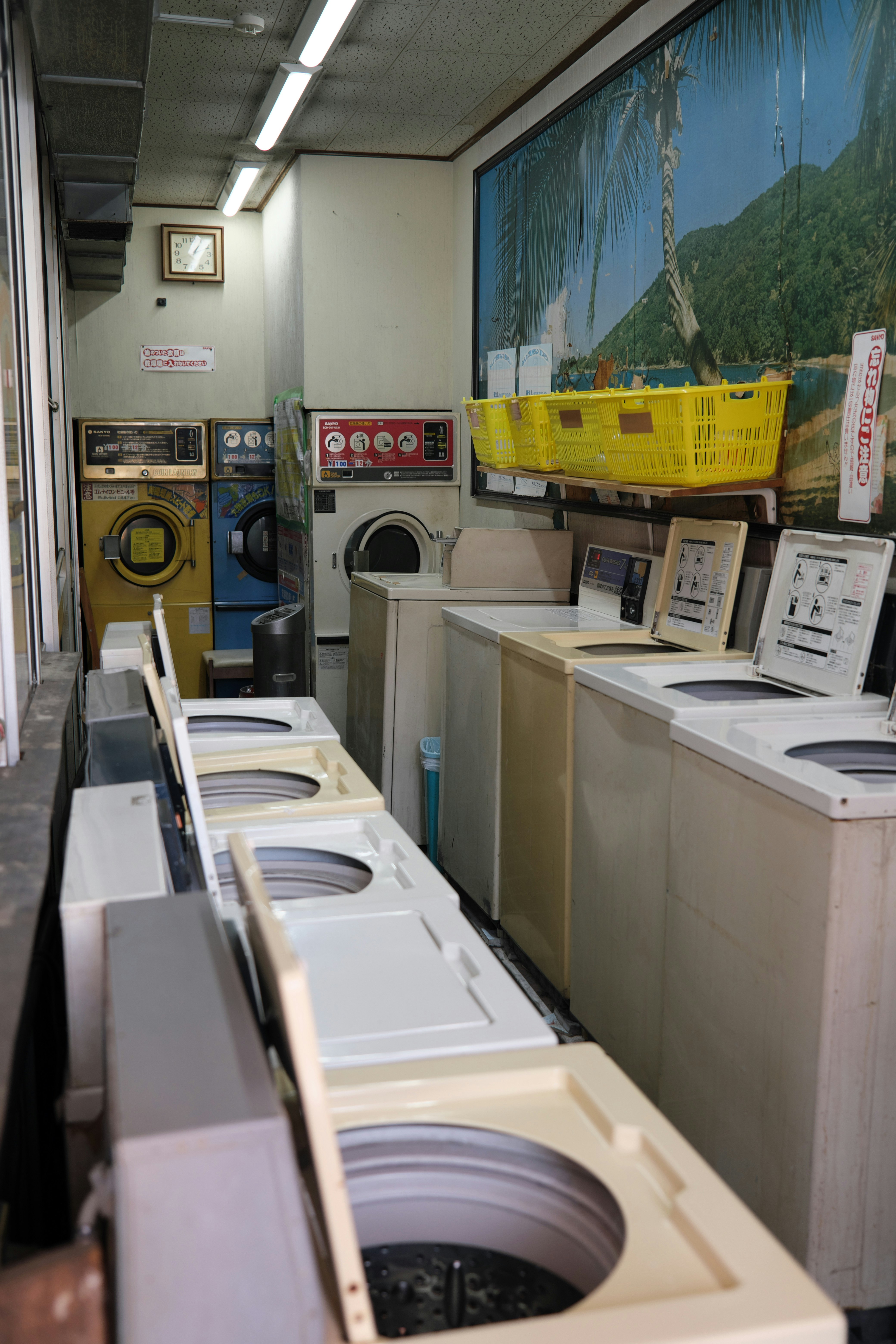 投幣洗衣店內，成排洗衣機與烘乾機