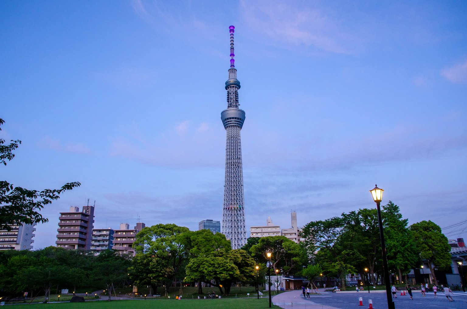 Tokyo Skytree über dem Park mit Abendhimmel