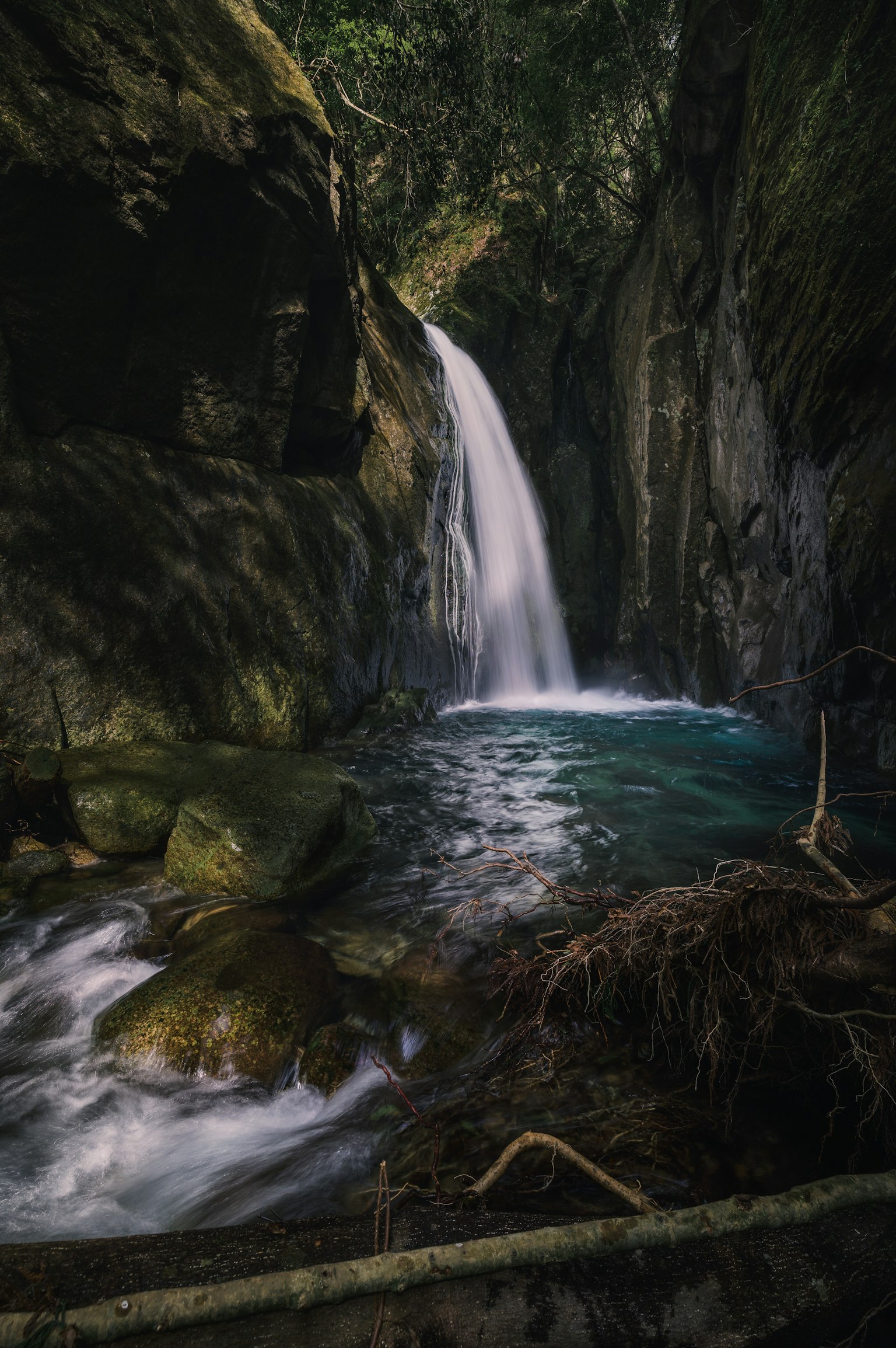 Pemandangan ngarai yang indah dengan air terjun dikelilingi oleh pepohonan yang rimbun