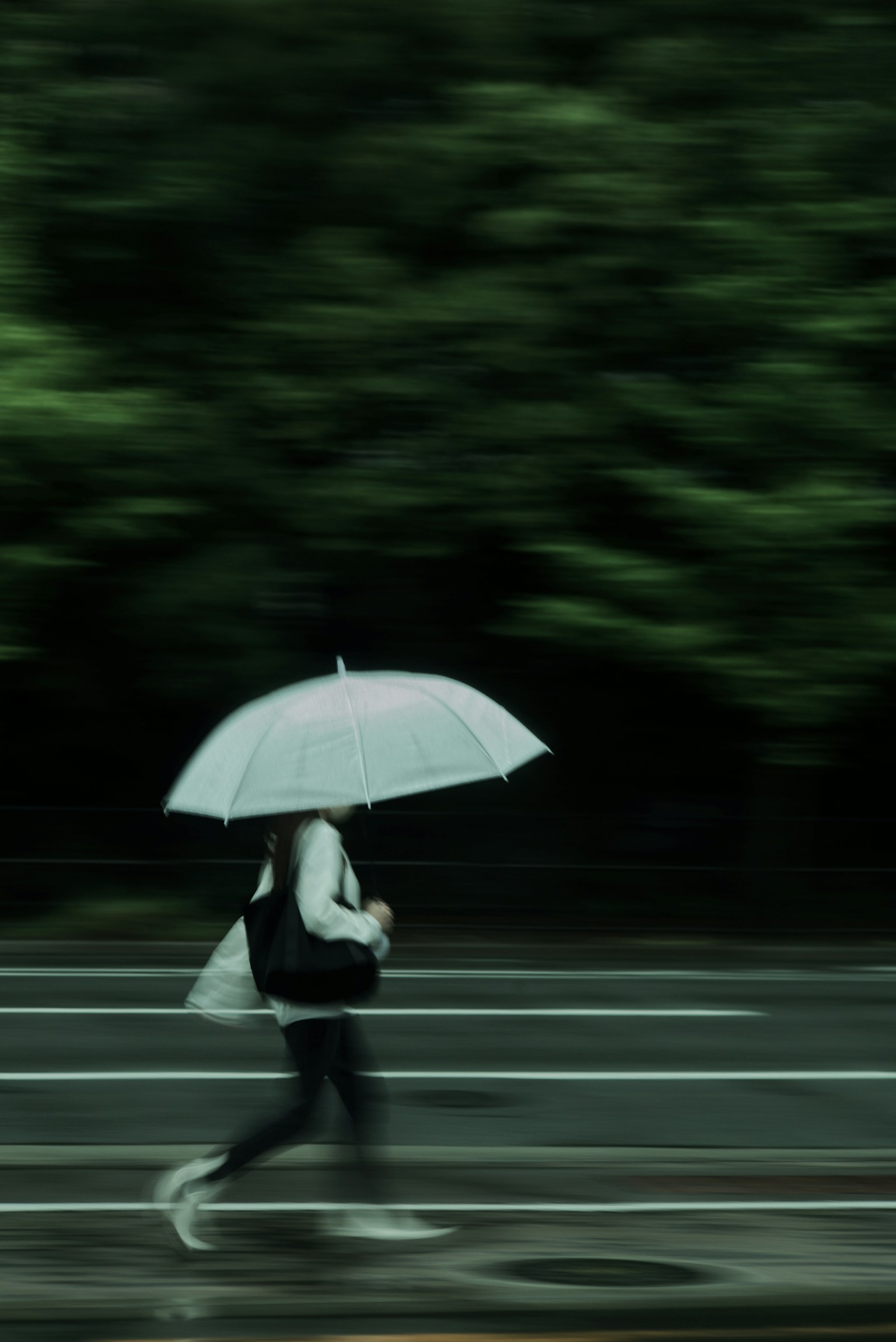 photo-ucNI9JhG9R3q3uEa6oQp-image