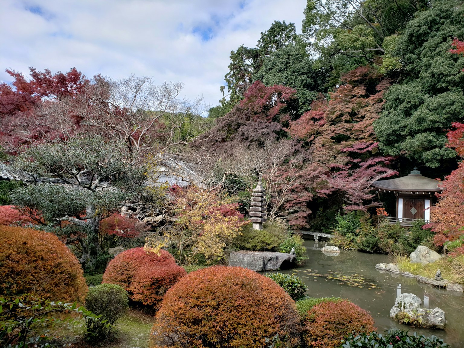 Beautiful Japanese garden landscape showcasing vibrant autumn foliage and a tranquil pond