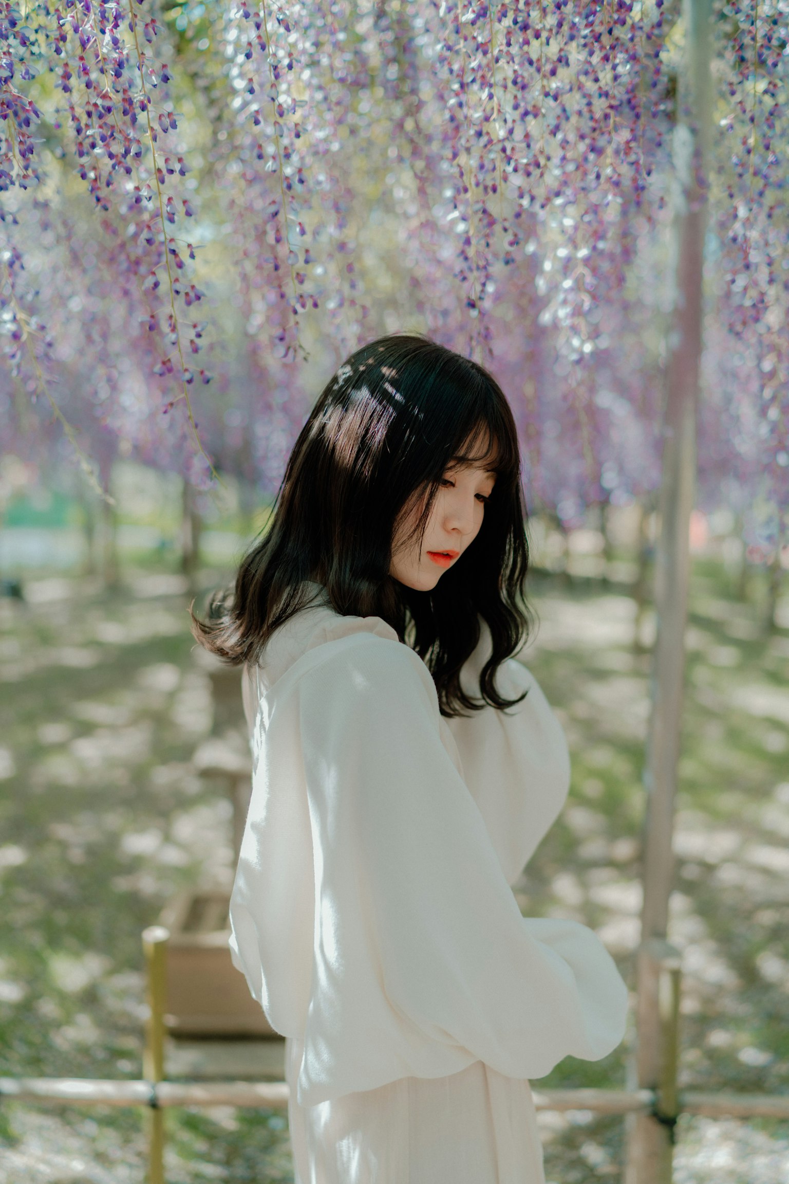 Donna in abito bianco sotto fiori di glicine viola