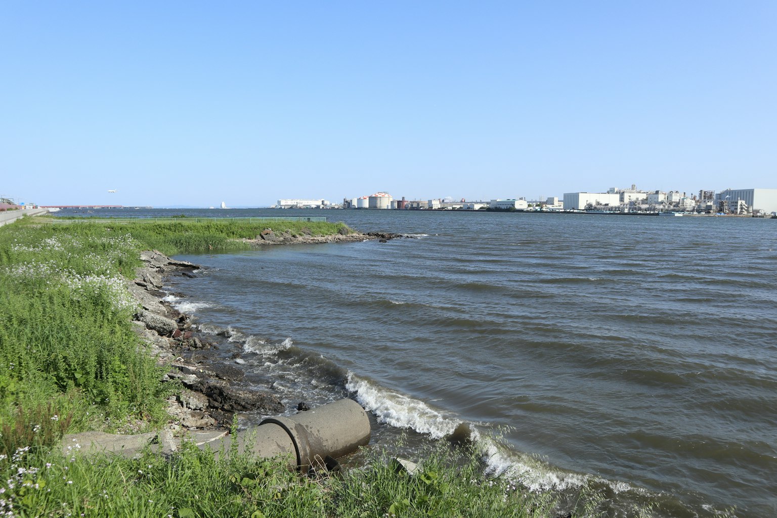 Scenic shoreline with calm waters and blue sky featuring green grass and gentle waves