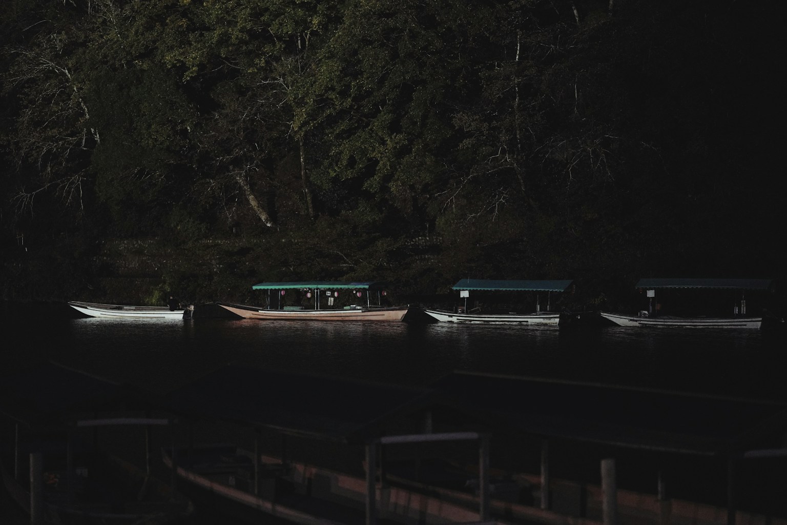 Boats floating on a dark water surface with silhouettes of surrounding trees