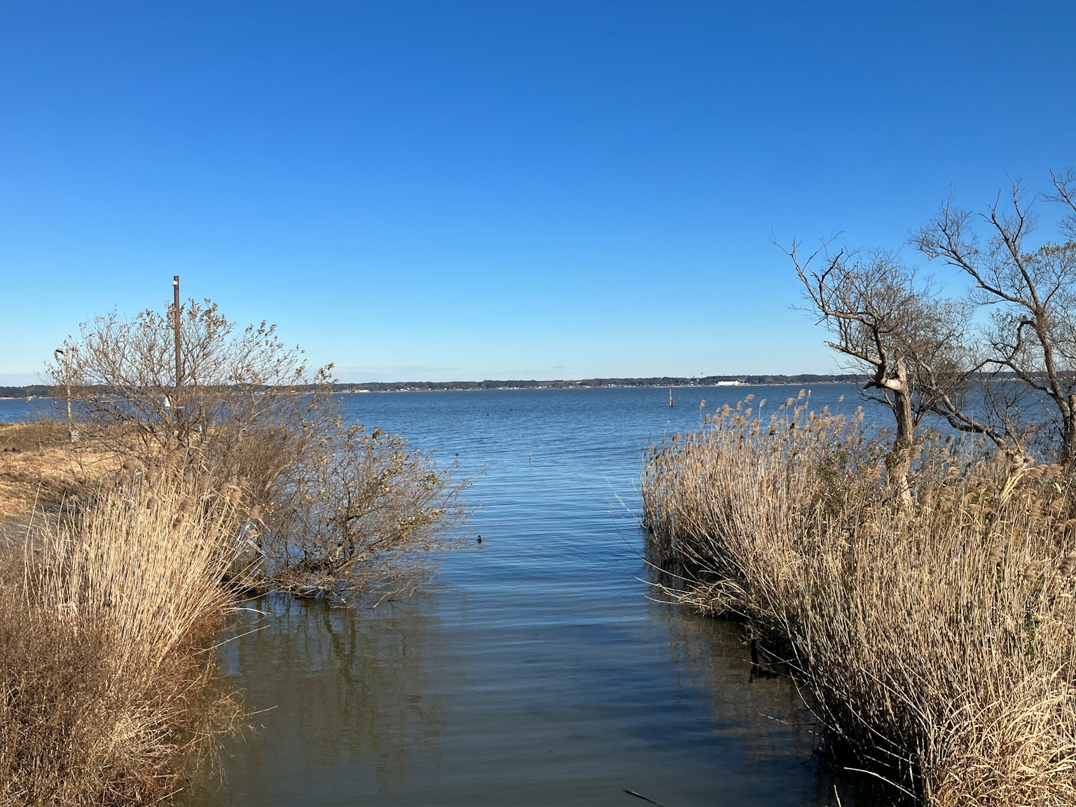 Vista calma del lago con cielo azzurro