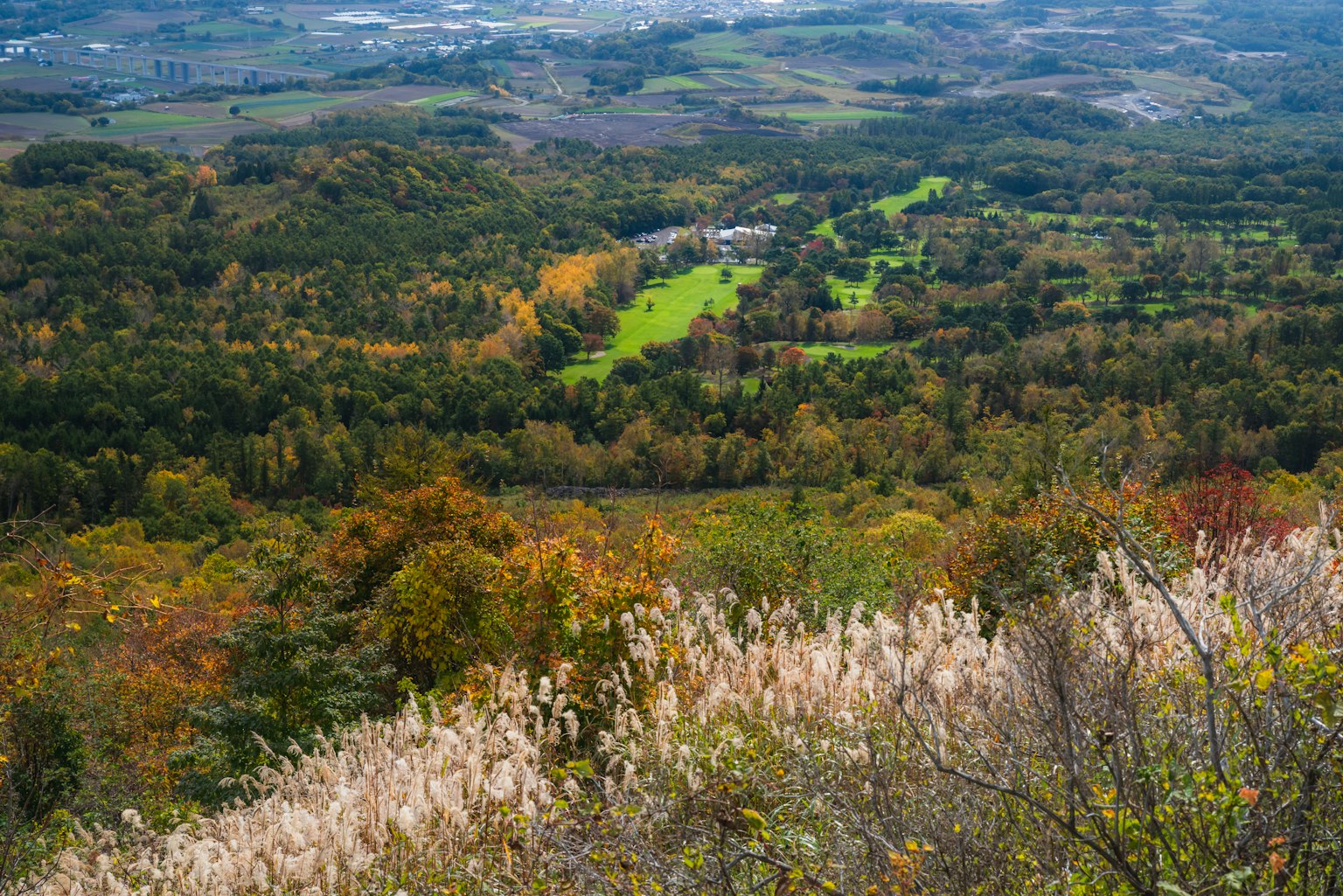 Paesaggio autunnale panoramico da una cima di montagna con campi verdi e alberi colorati