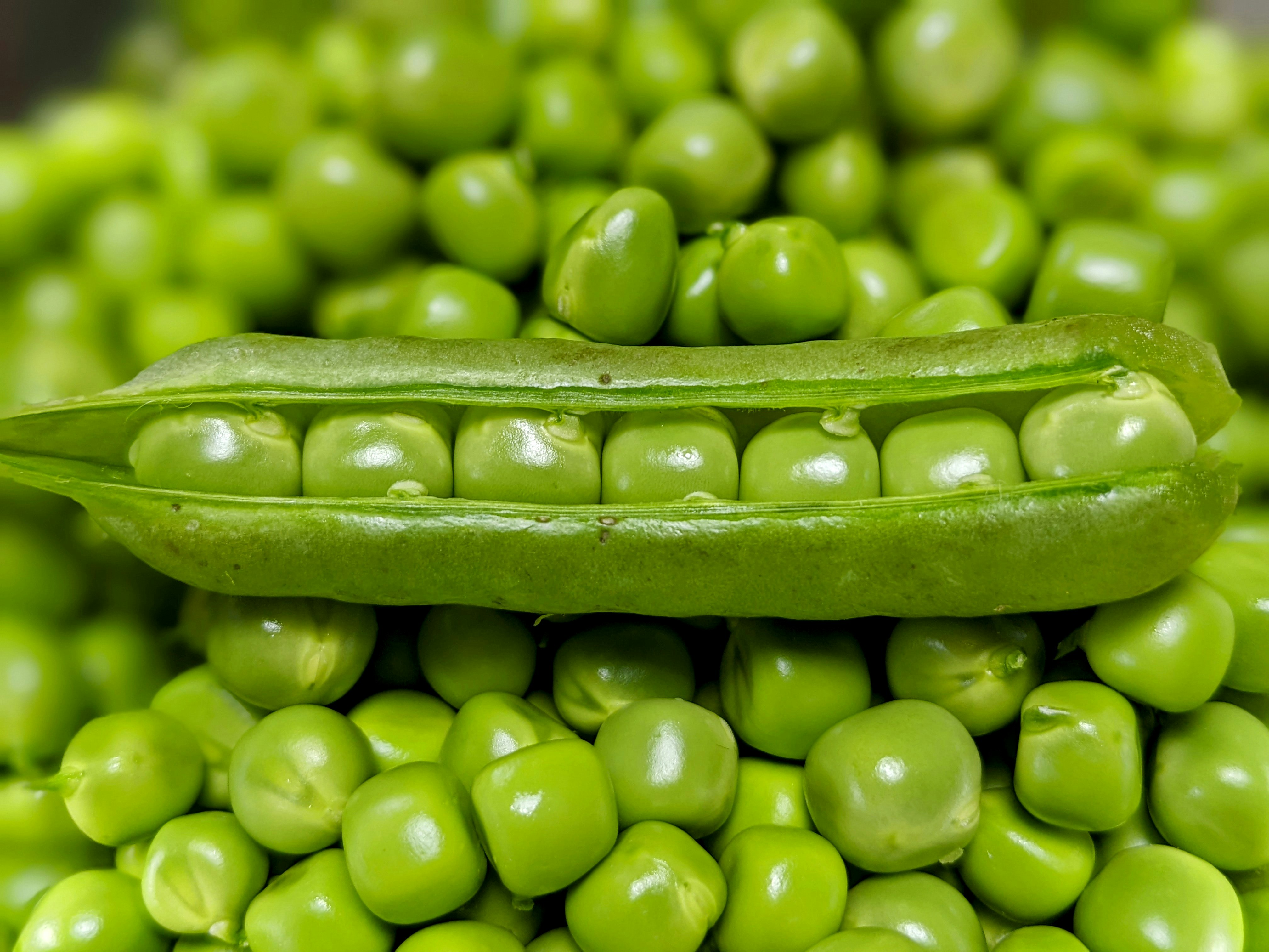 Close-up of green peas in a pod