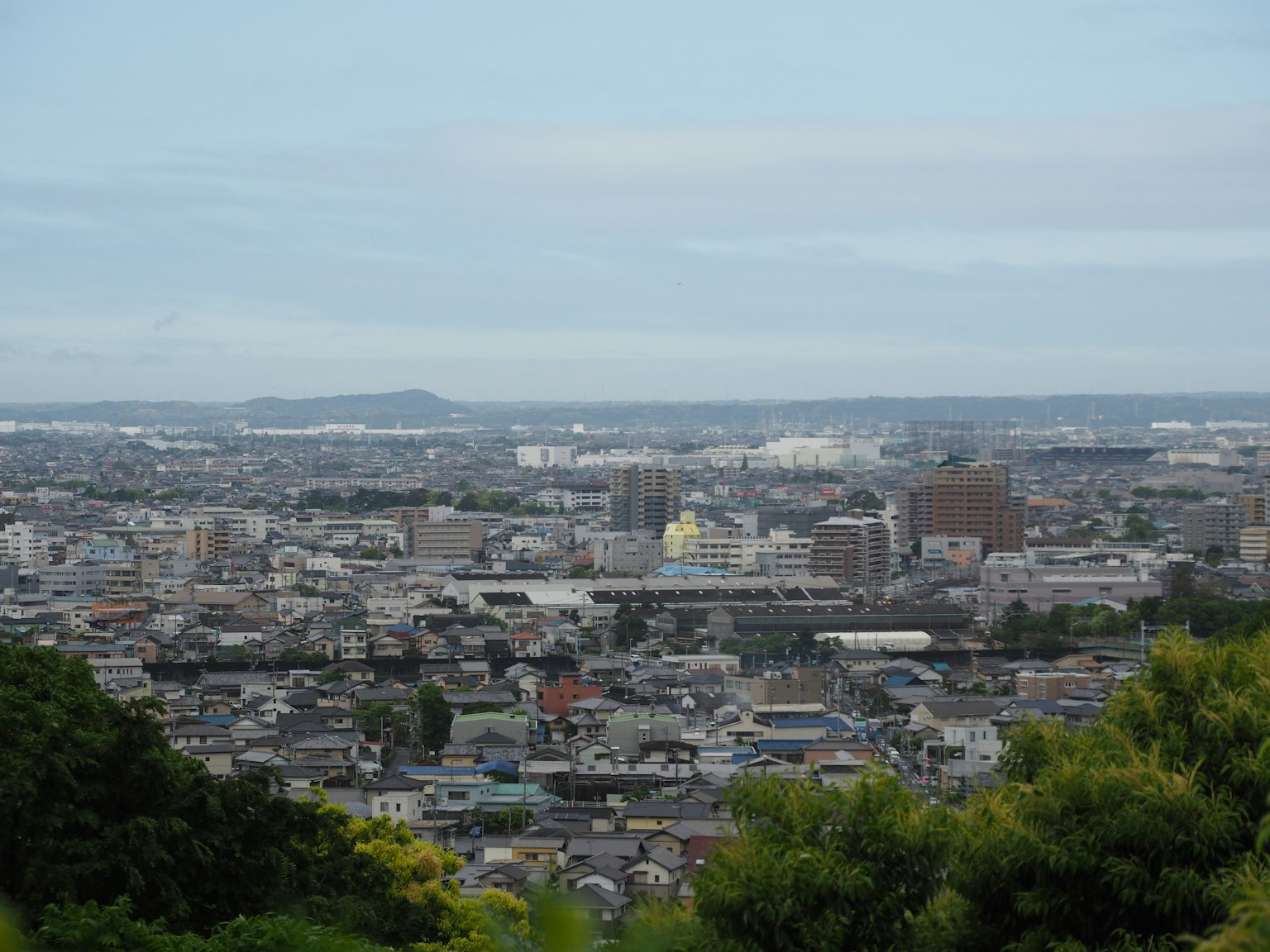 Vista panorámica de un paisaje urbano con árboles verdes en primer plano