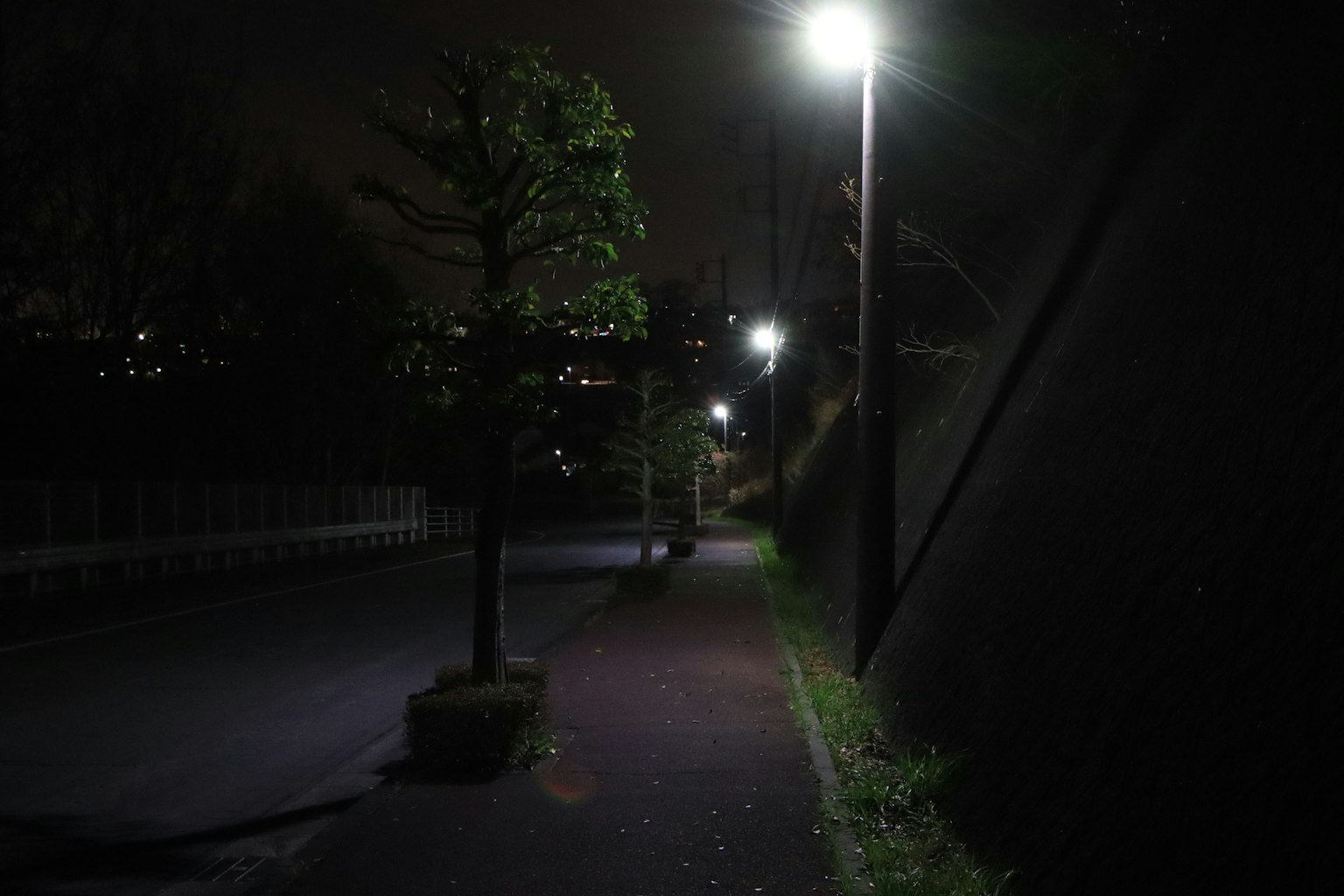 Vista notturna di una strada con lampioni e un albero vicino