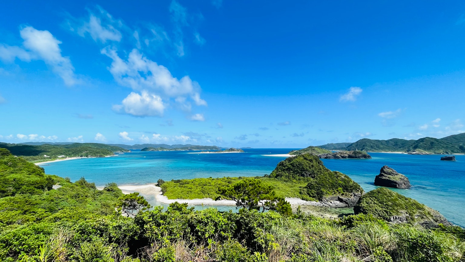 美丽的风景 蓝色海洋和天空 绿色植物和岩石海岸线