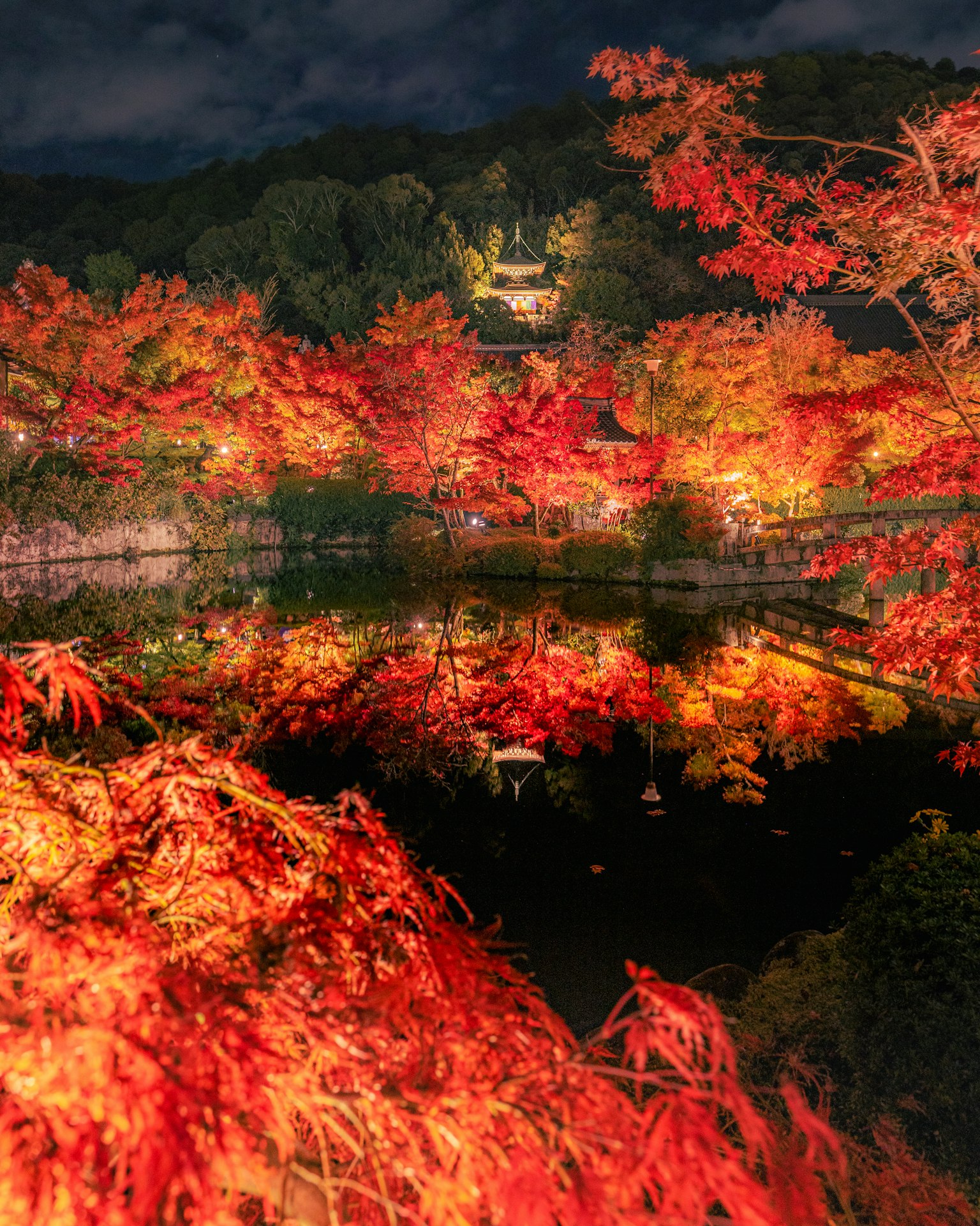 夜晚被秋天的树叶包围的池塘和寺庙的美丽景观
