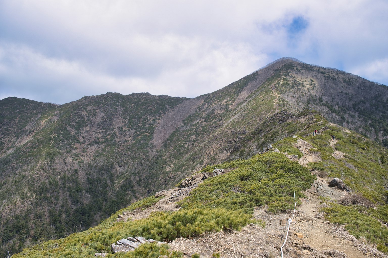 Mountain landscape with green vegetation and a winding path