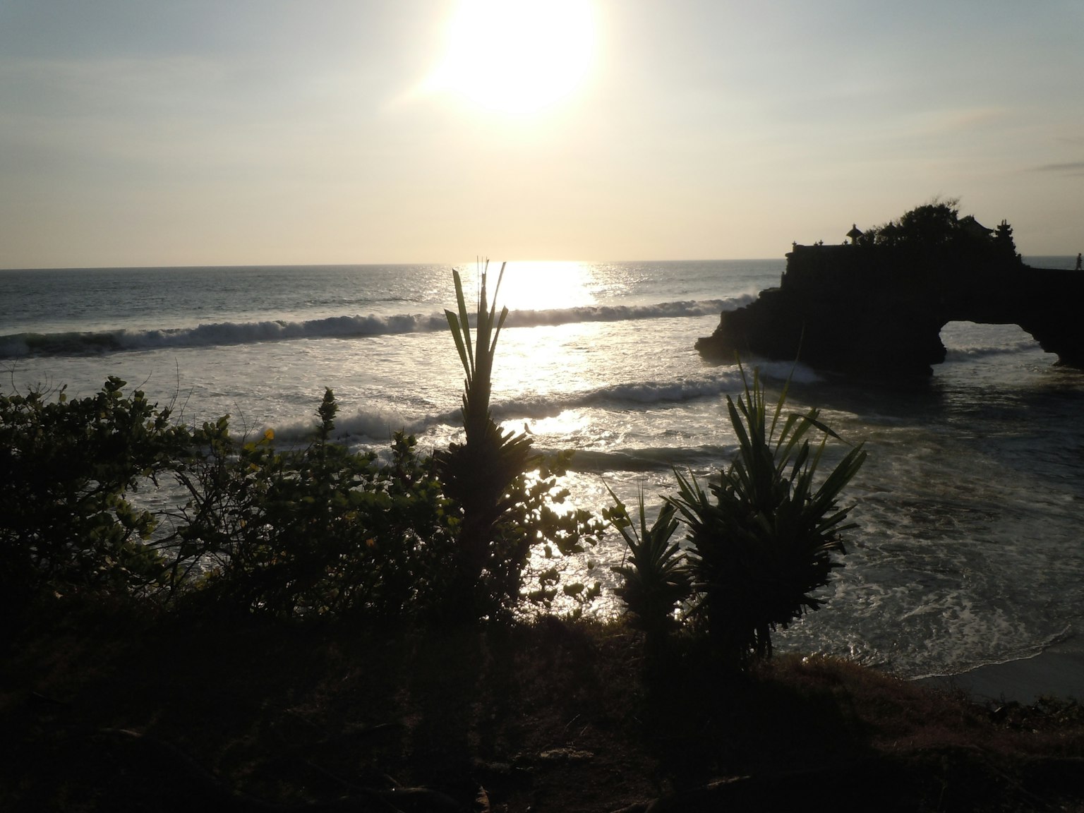 Beautiful coastal scene with sunset reflecting on water plants and waves visible