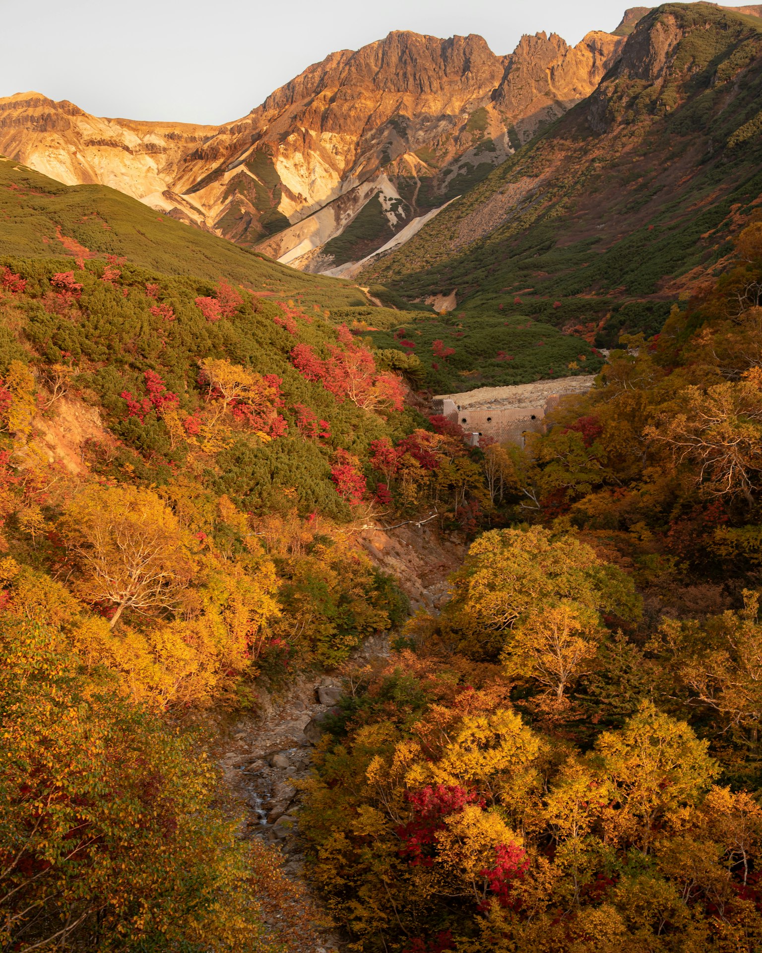 秋天的山谷和山脈的風景