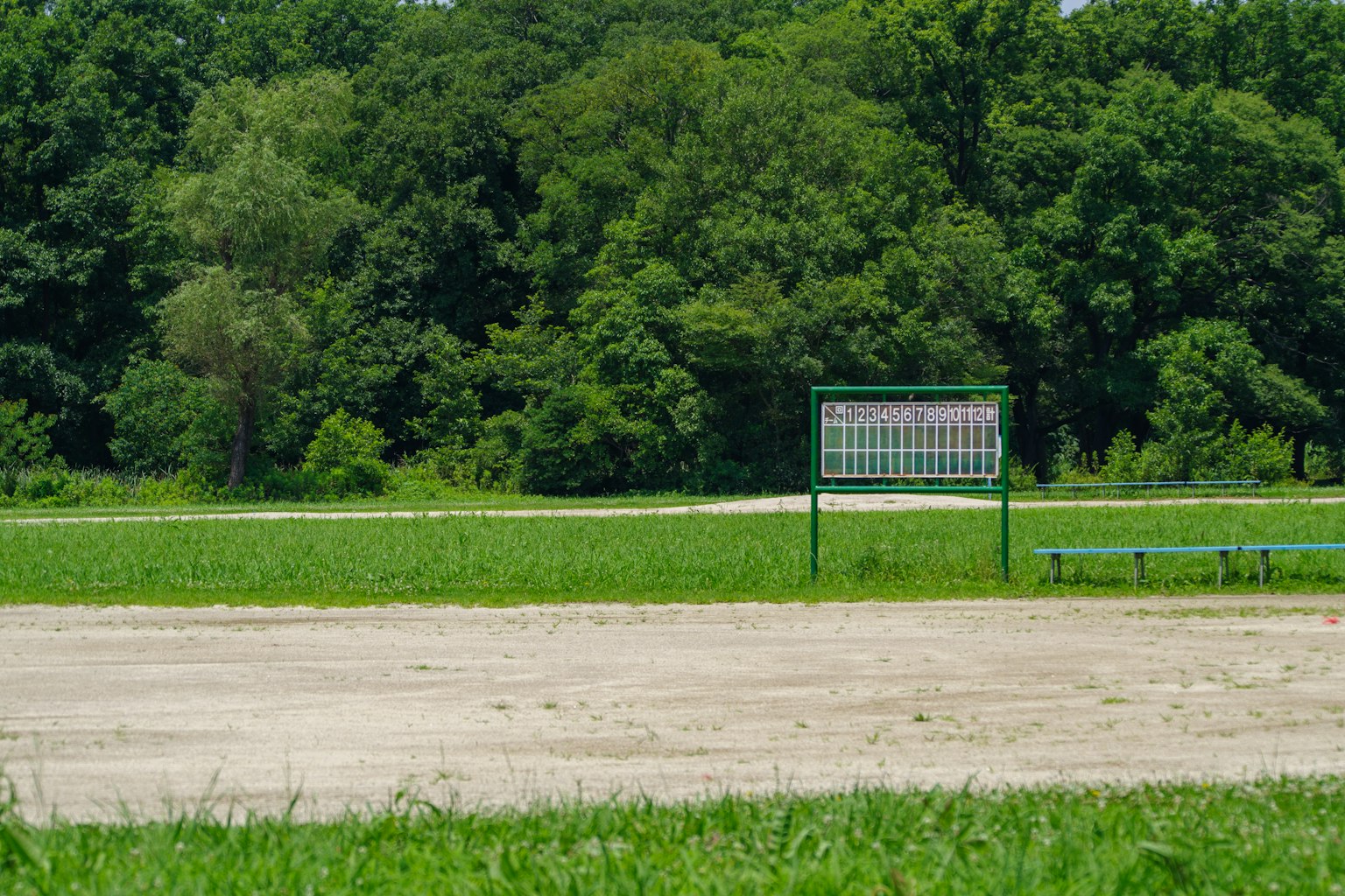 Campo abierto rodeado de árboles verdes exuberantes con un cartel