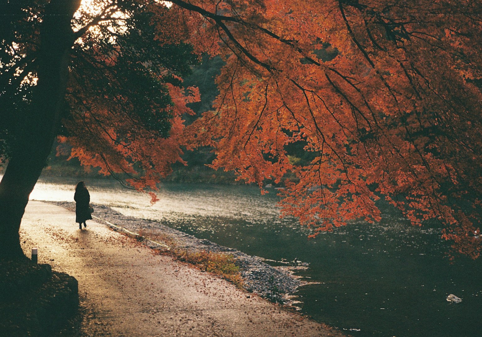 Une silhouette marchant le long d'un chemin entouré de feuillage d'automne