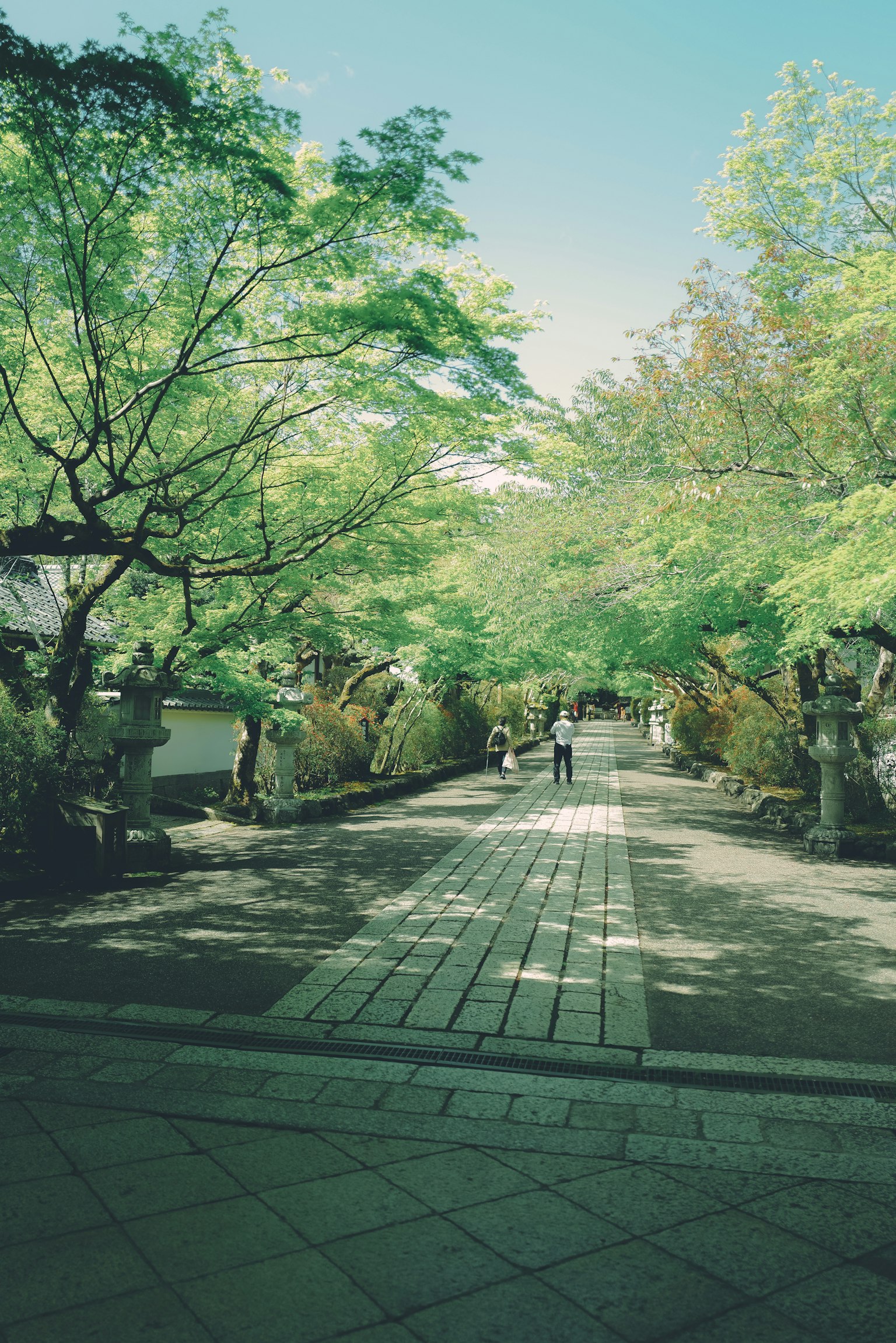 photo-uj1wfu5uZ0k5g9LHTBLQ-image