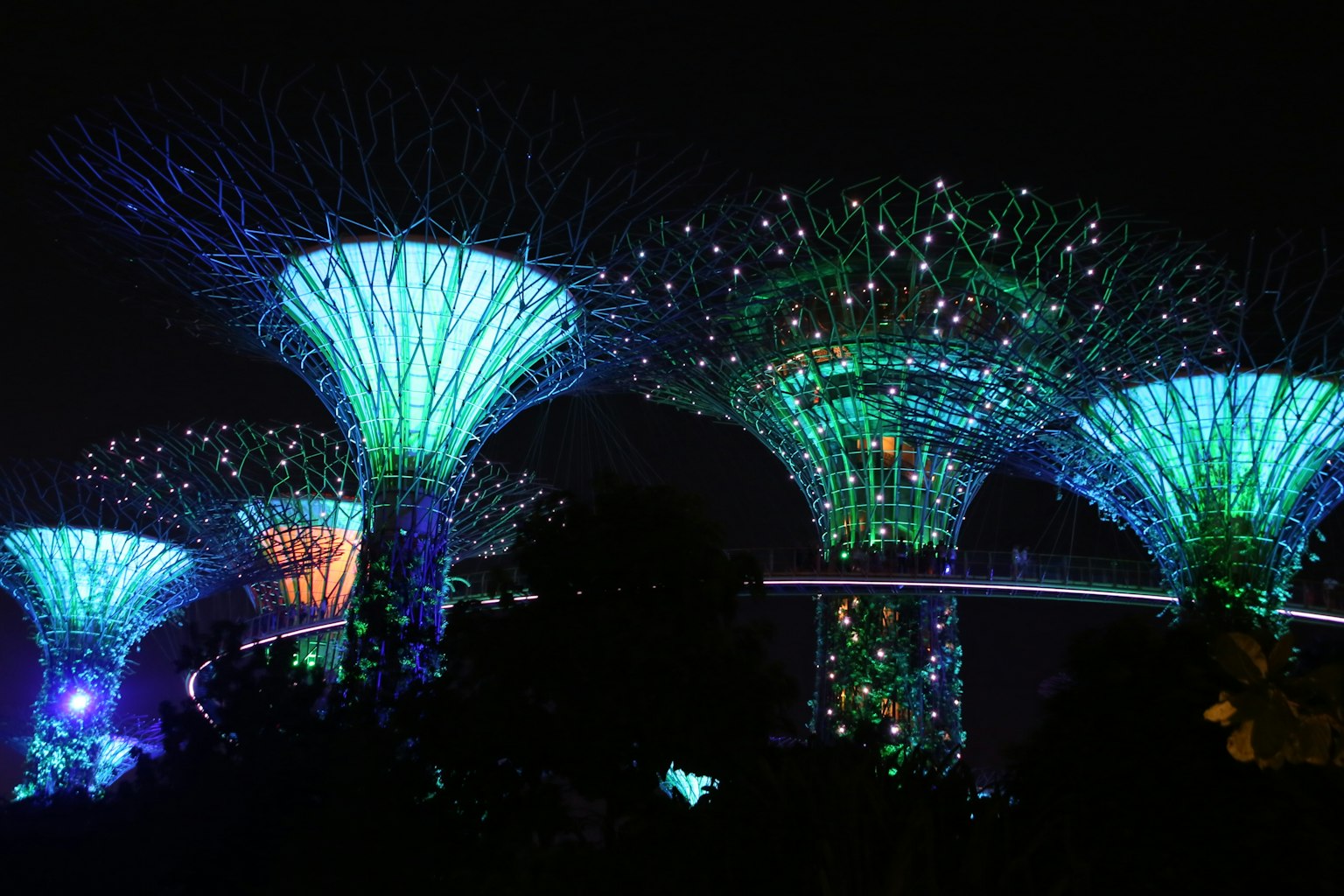 Illuminated Supertrees at Gardens by the Bay at night