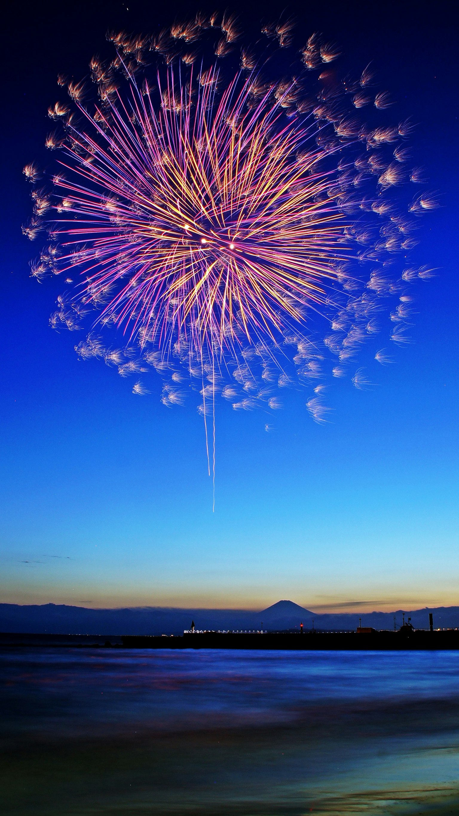 Bellissima esplosione di fuochi d'artificio viola e blu nel cielo notturno