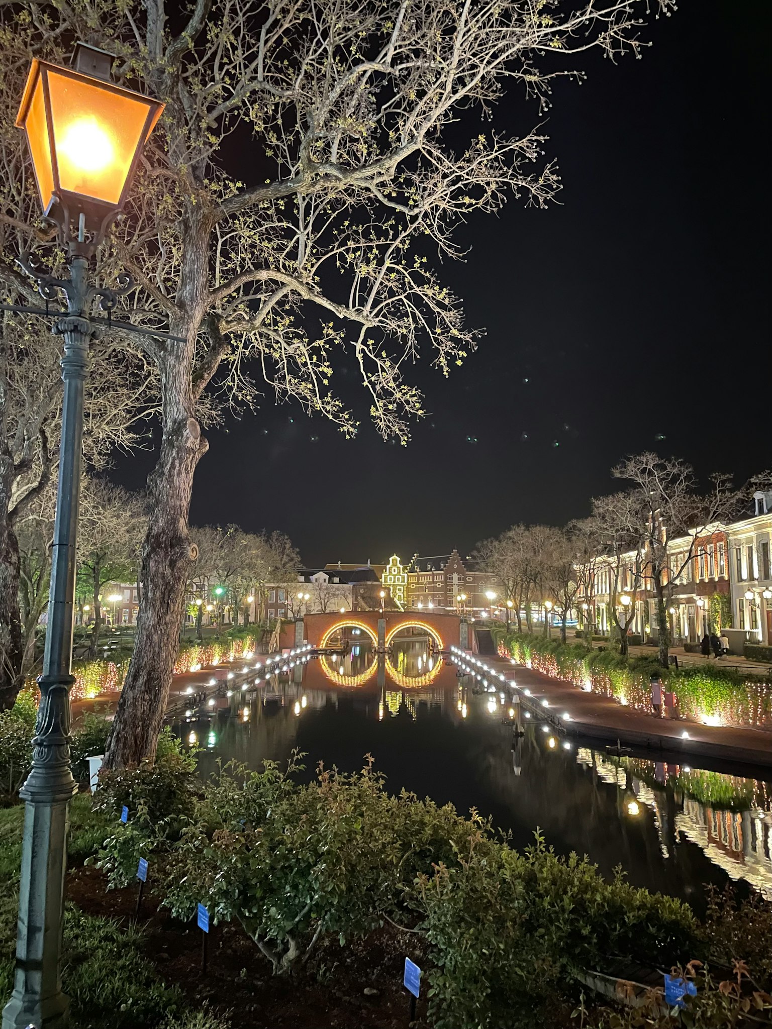 夜晚公園的美麗景色，池塘和照亮的樹木