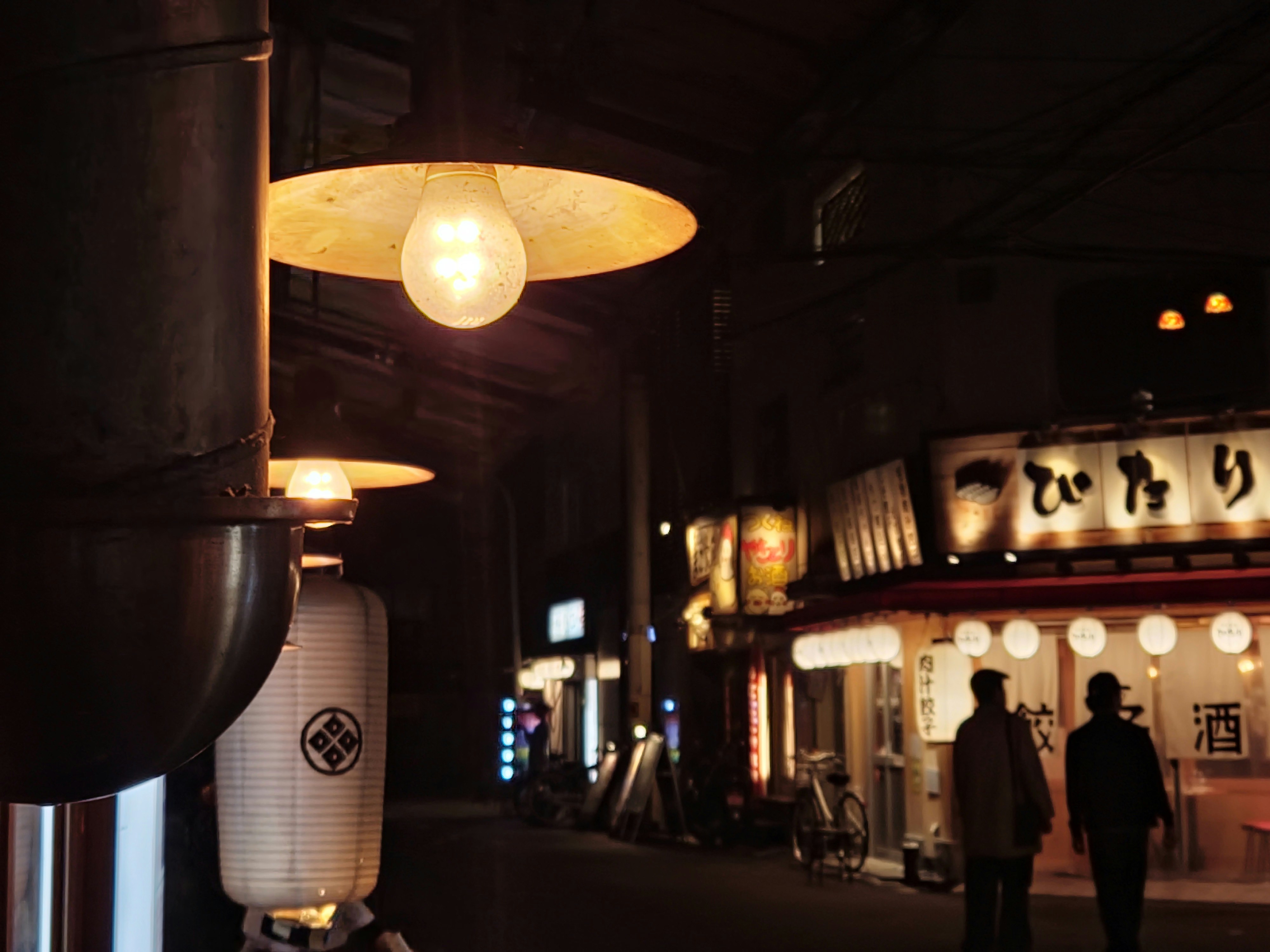 夜の路地に並ぶ提灯と飲食店の看板