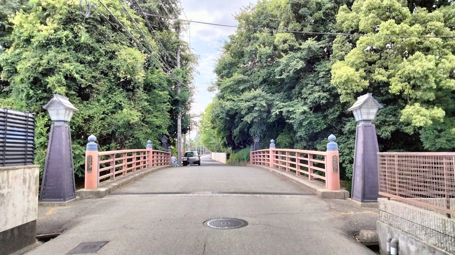 Scenic view of a bridge surrounded by greenery with pillars and railings