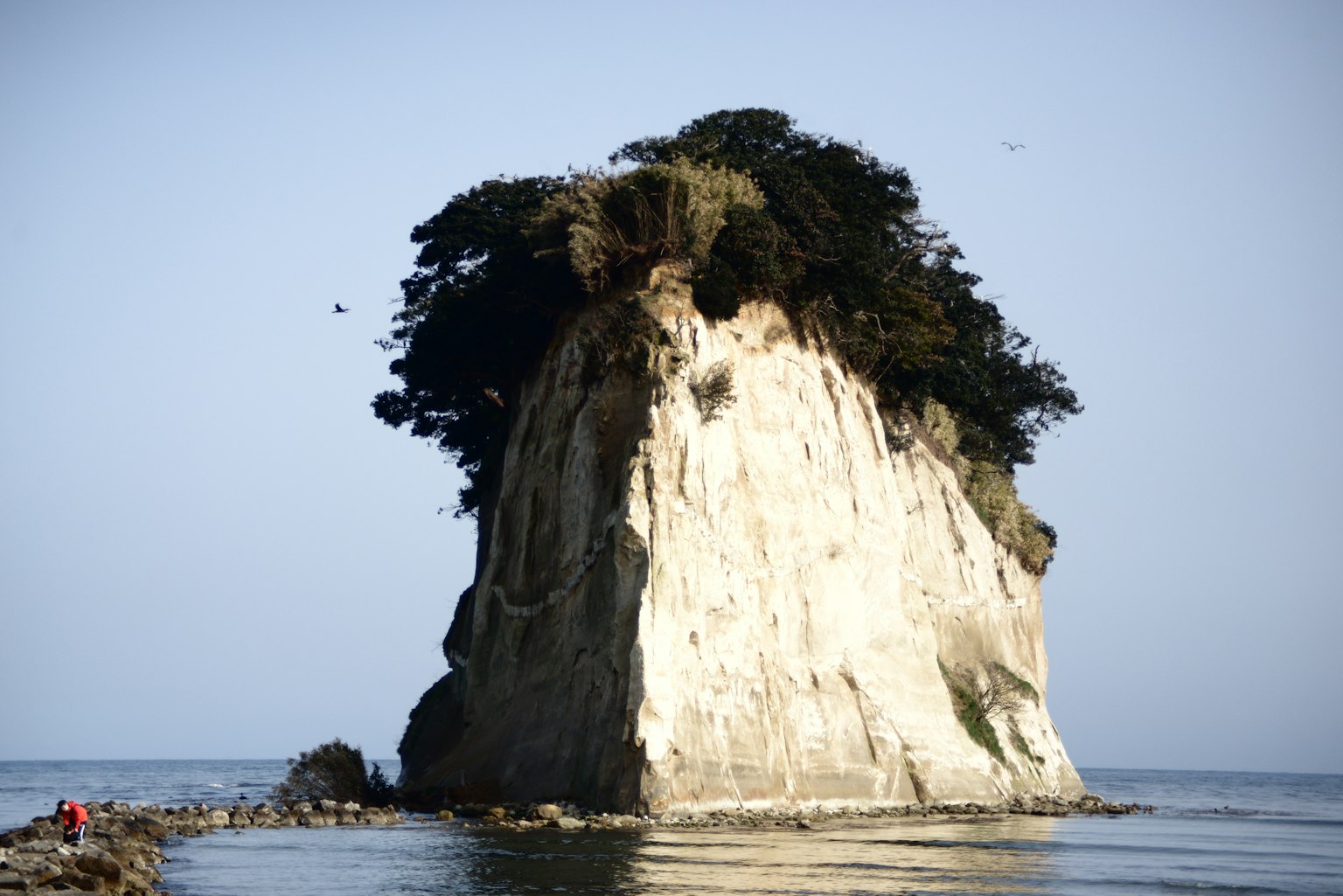 Isolated white rock formation with lush greenery on top