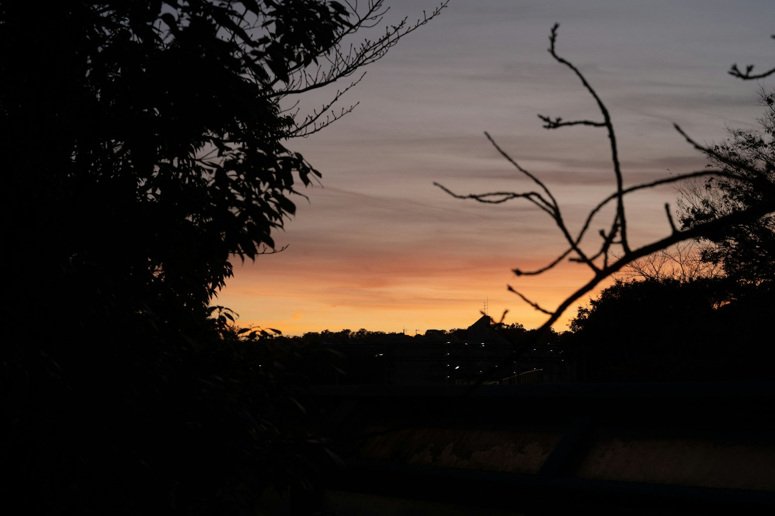 Siluet pohon melawan langit senja dengan warna-warna cerah