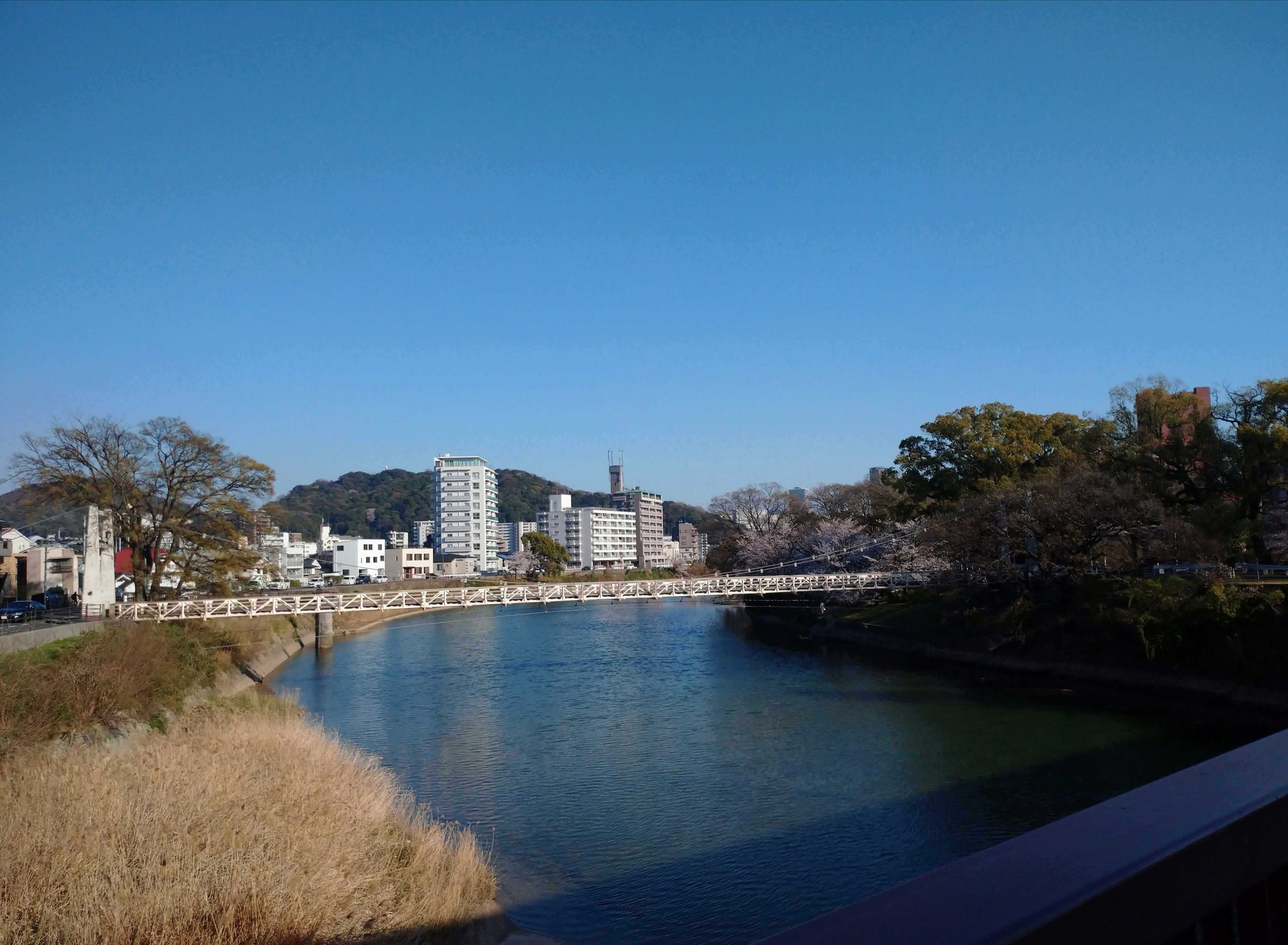 川沿いの吊り橋と青空の風景