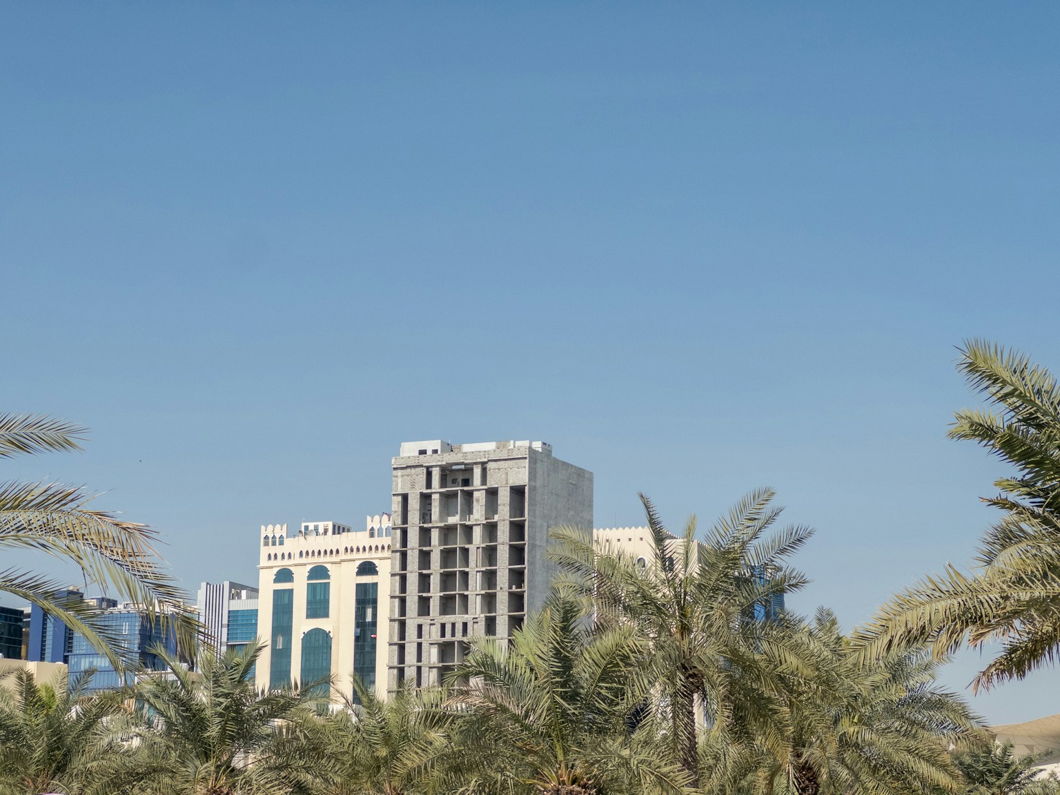 Skyline di città con edifici moderni e palme sotto un cielo blu chiaro