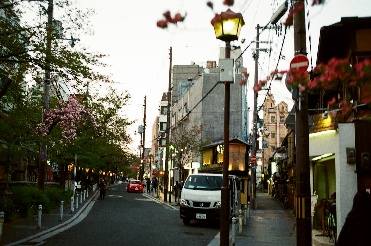 Pemandangan jalan dengan bunga sakura dan lampu jalan saat senja