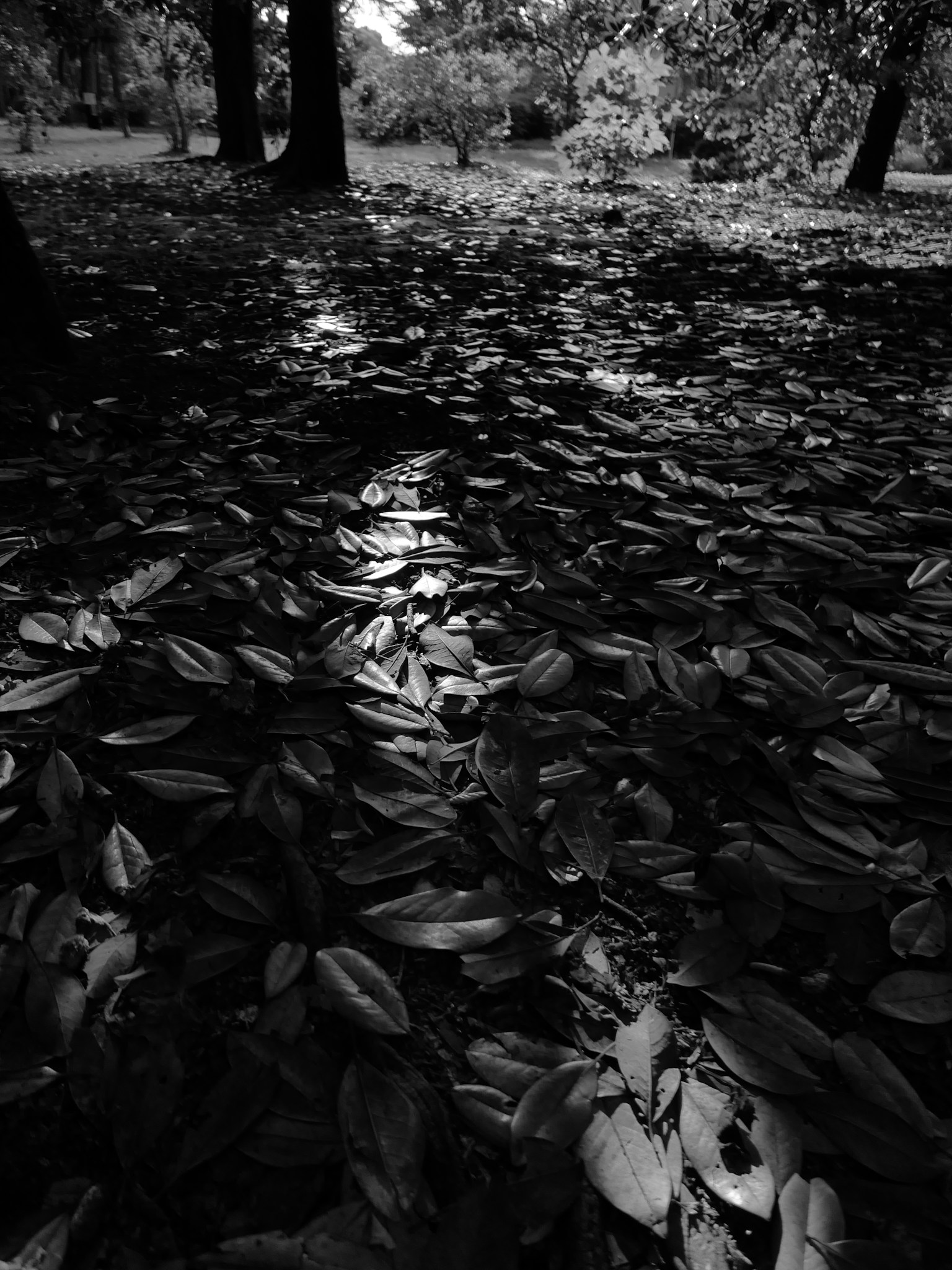 photo-ulmOoKiPhZTWs7sDkT8A-image