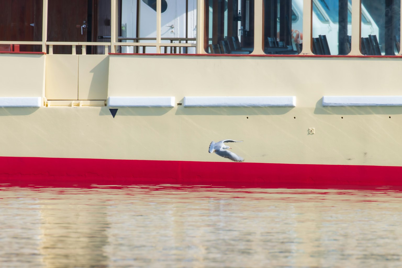 Mouette volant à côté d'un bateau rouge