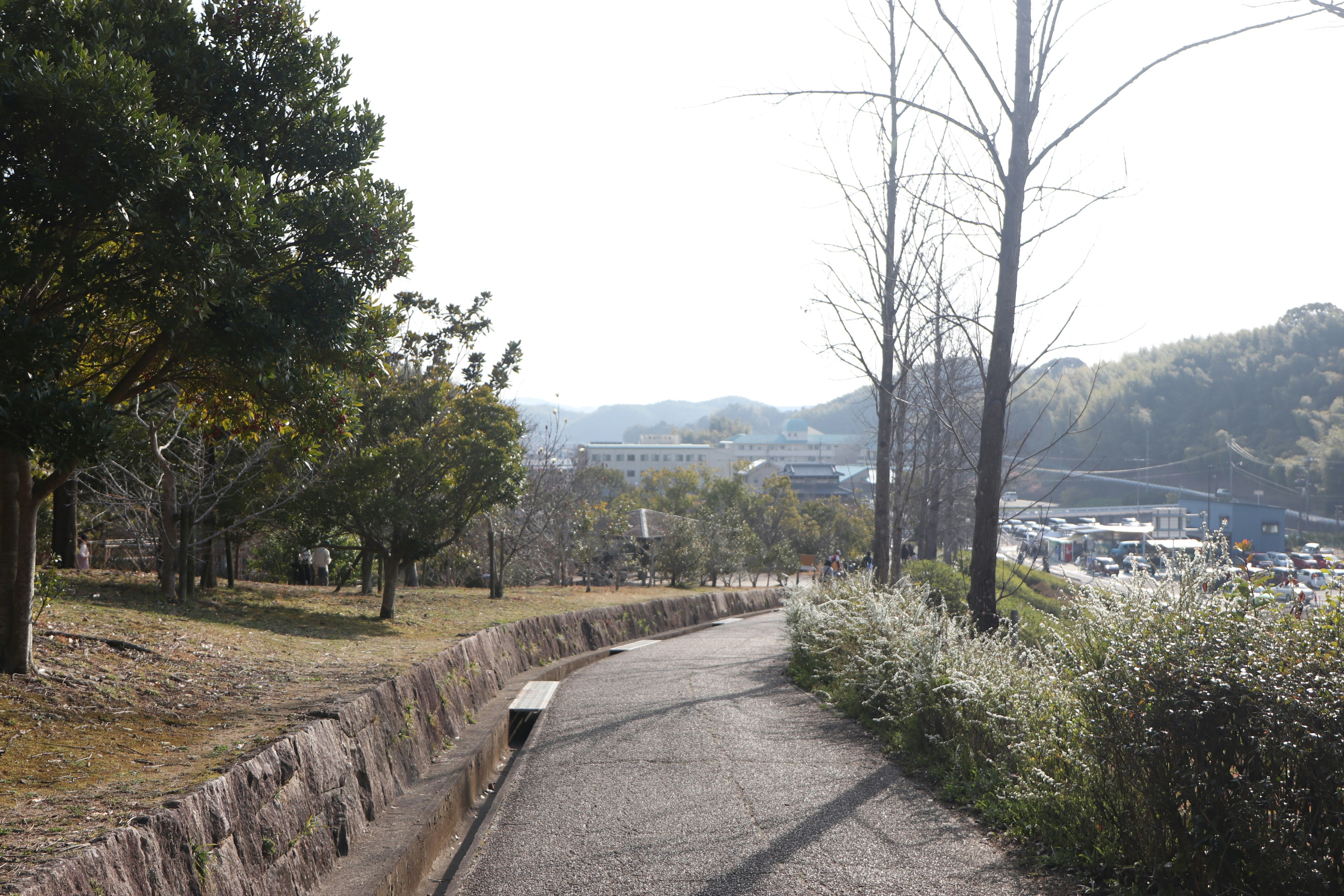 河畔步道与远处城镇景观的郊外风景