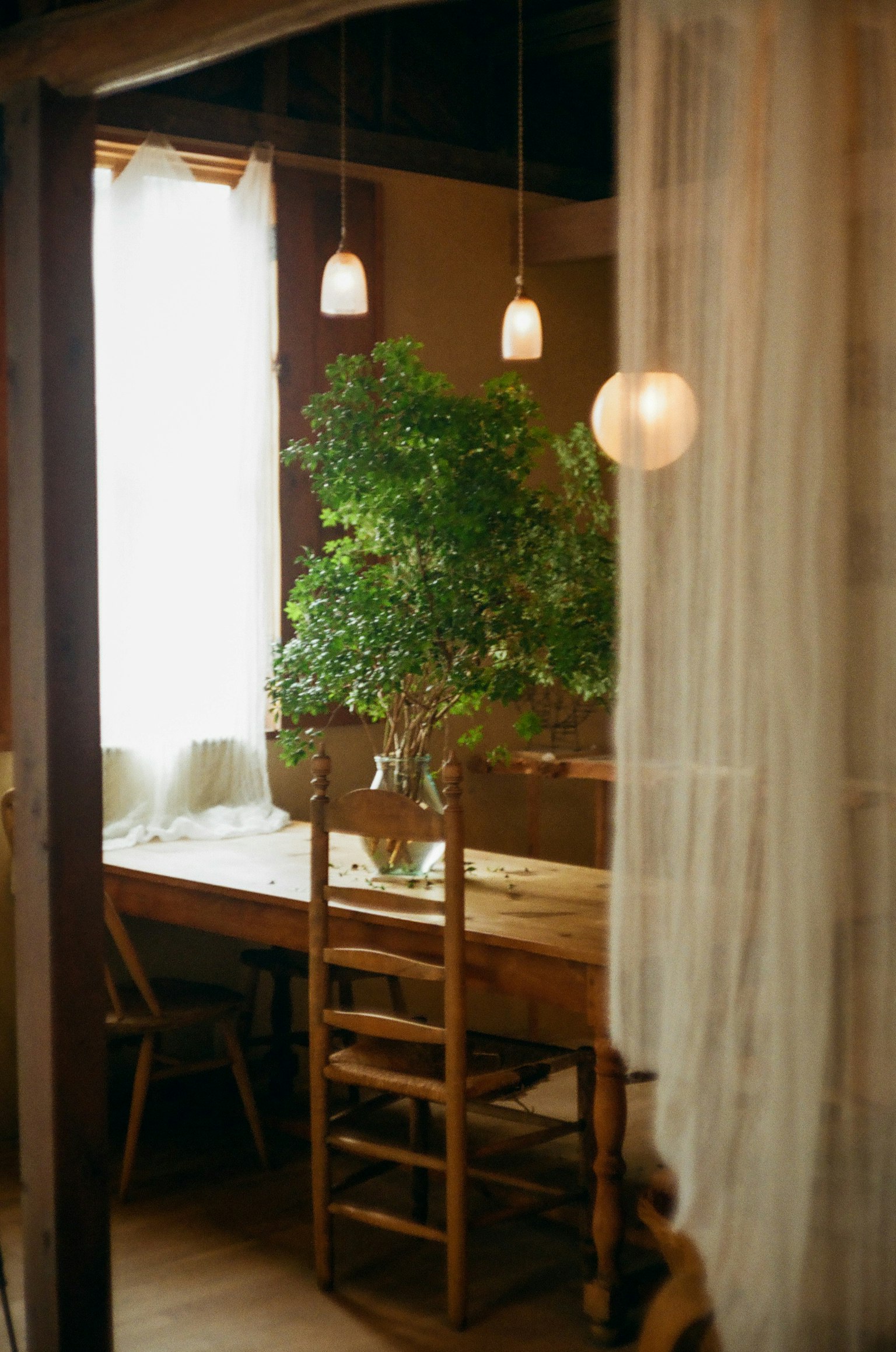 Intérieur chaleureux avec une table en bois et des chaises près d'une fenêtre lumineuse avec une plante verte
