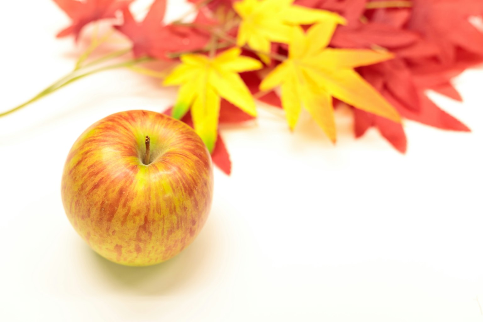 Pomme rouge placée sur des feuilles rouges et jaunes vives