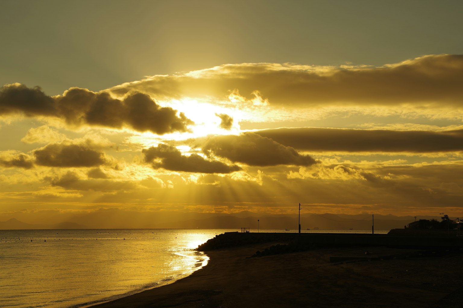 photo-unOBly9LurMc0P8Pdl9P-image