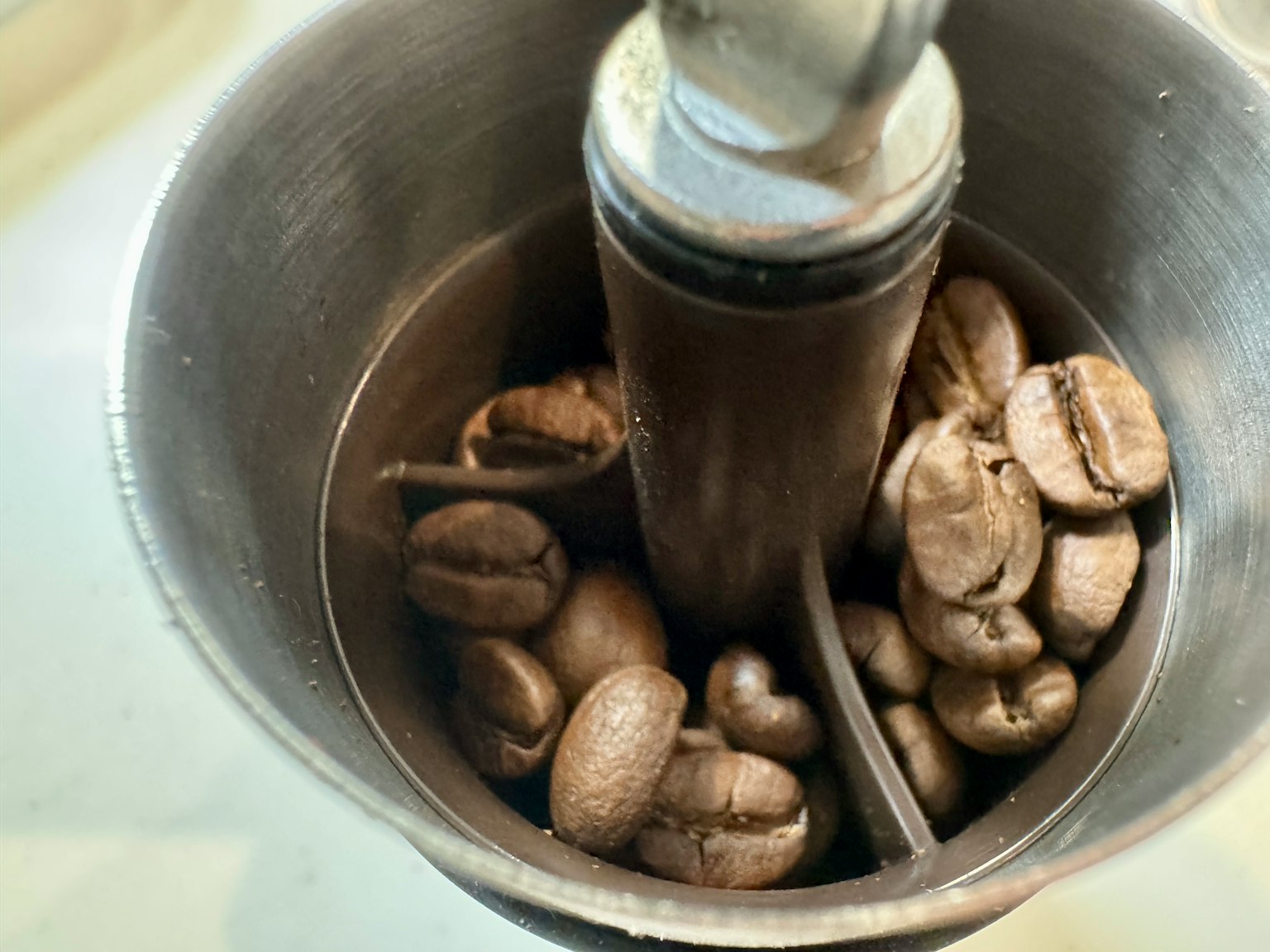 Close-up of coffee beans inside a grinder