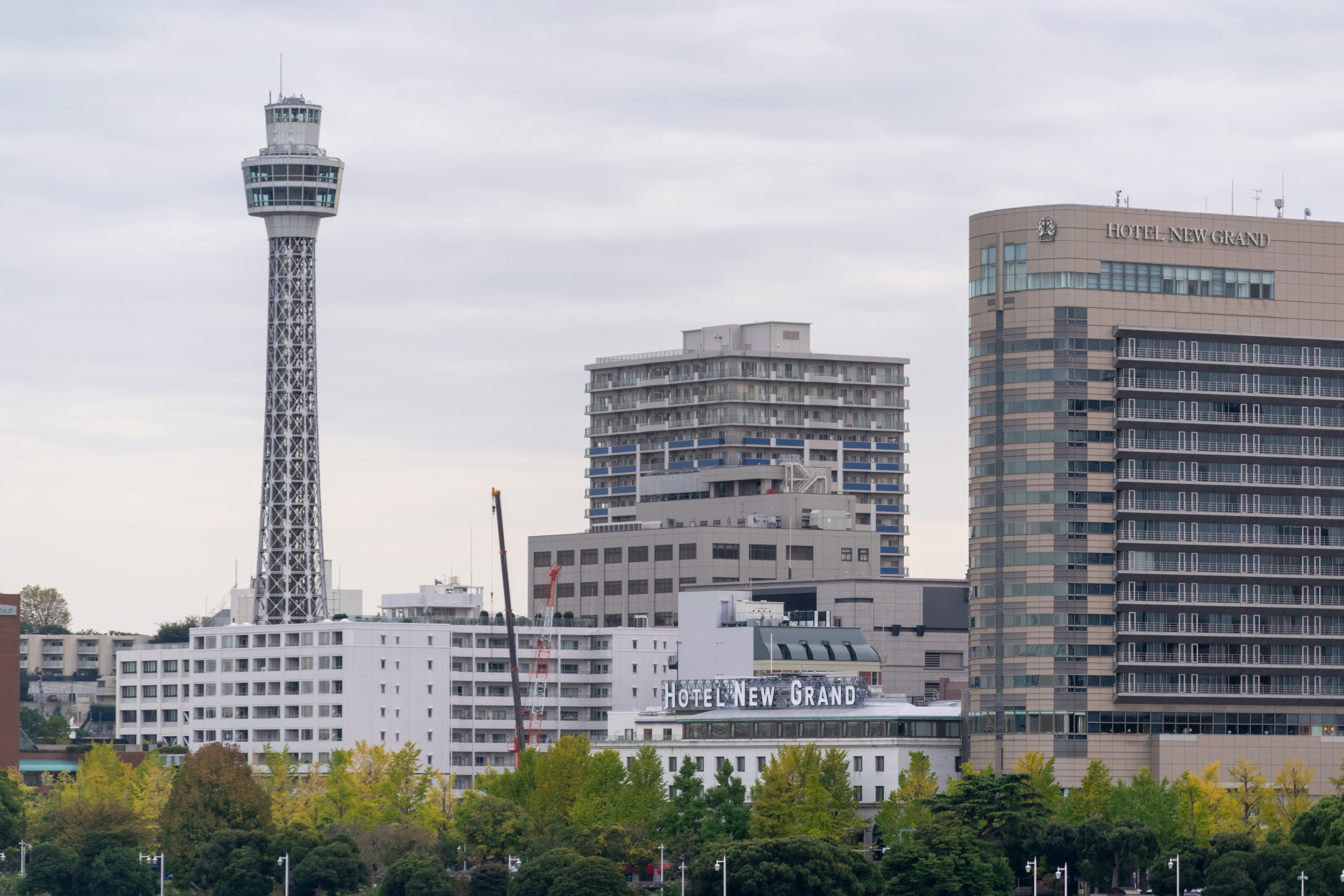 展望塔とホテルが並ぶ都市の街並み