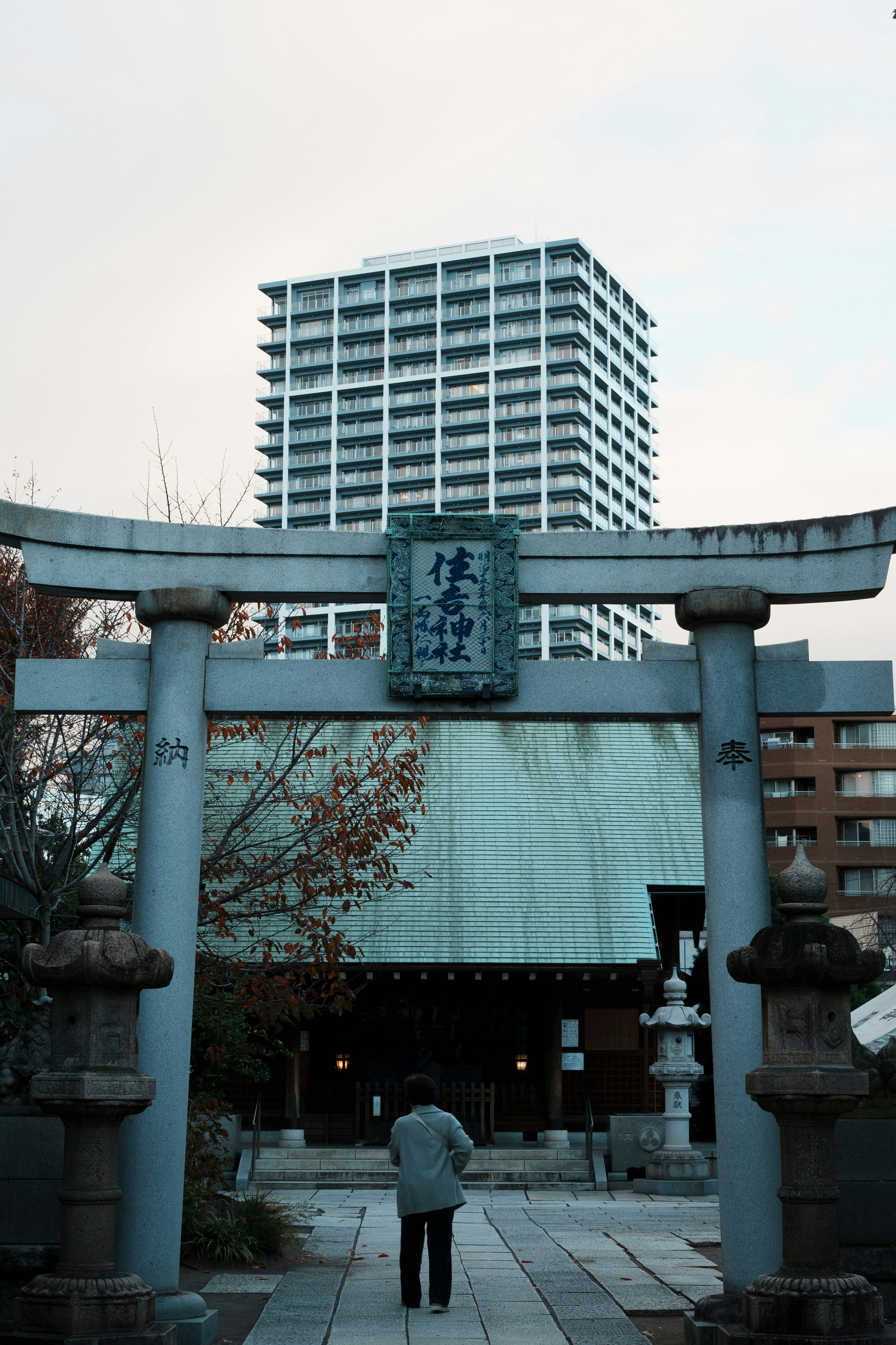 鳥居のある神社の参道と奥の建物