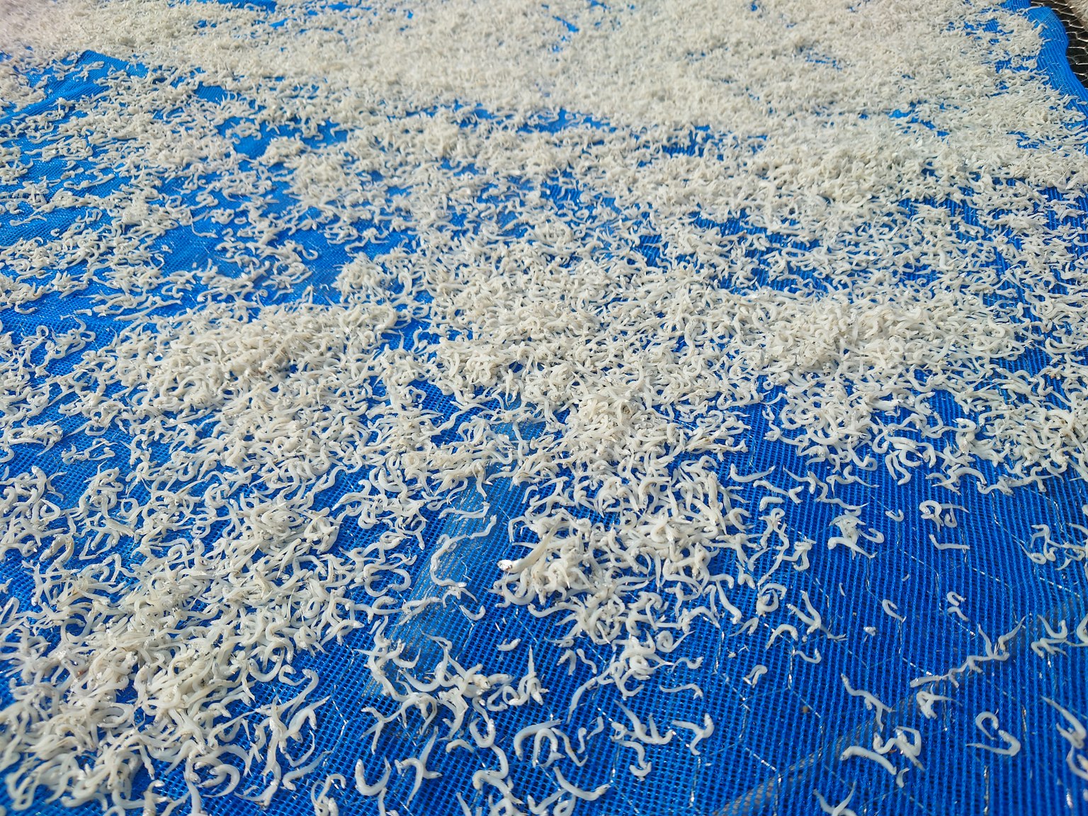 Fideos blancos finos esparcidos sobre una tela azul