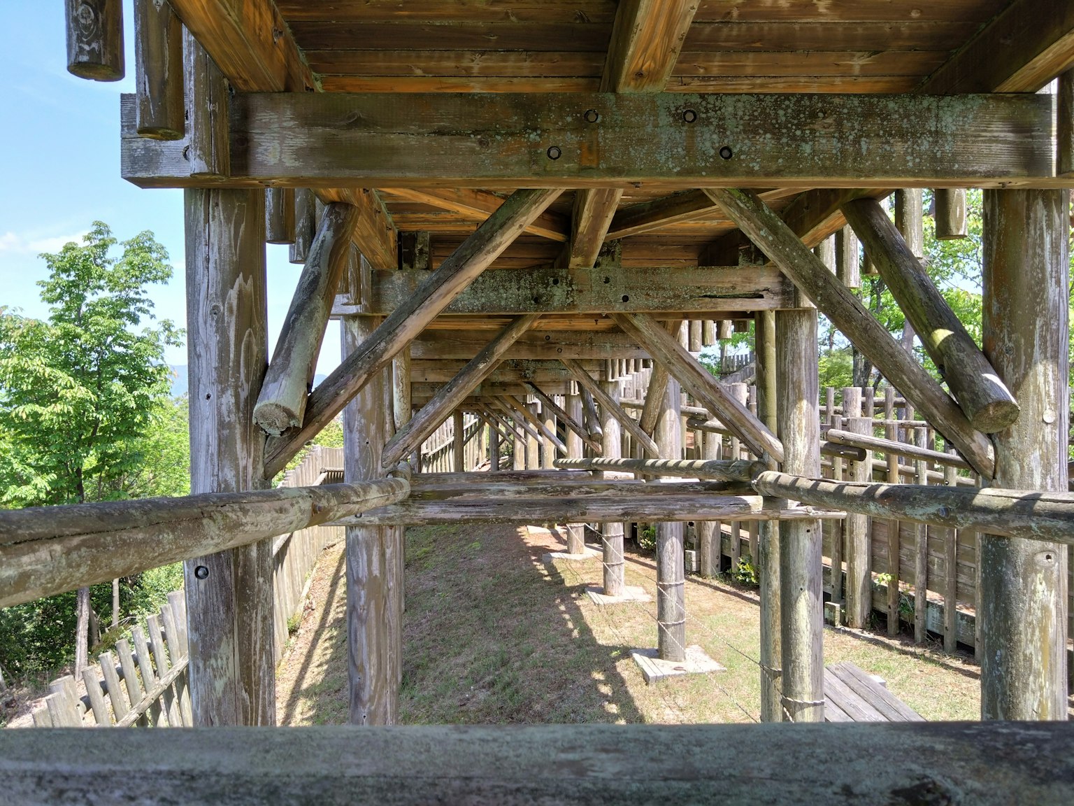 Blick von unten auf eine Holzstruktur mit grünen Bäumen im Hintergrund