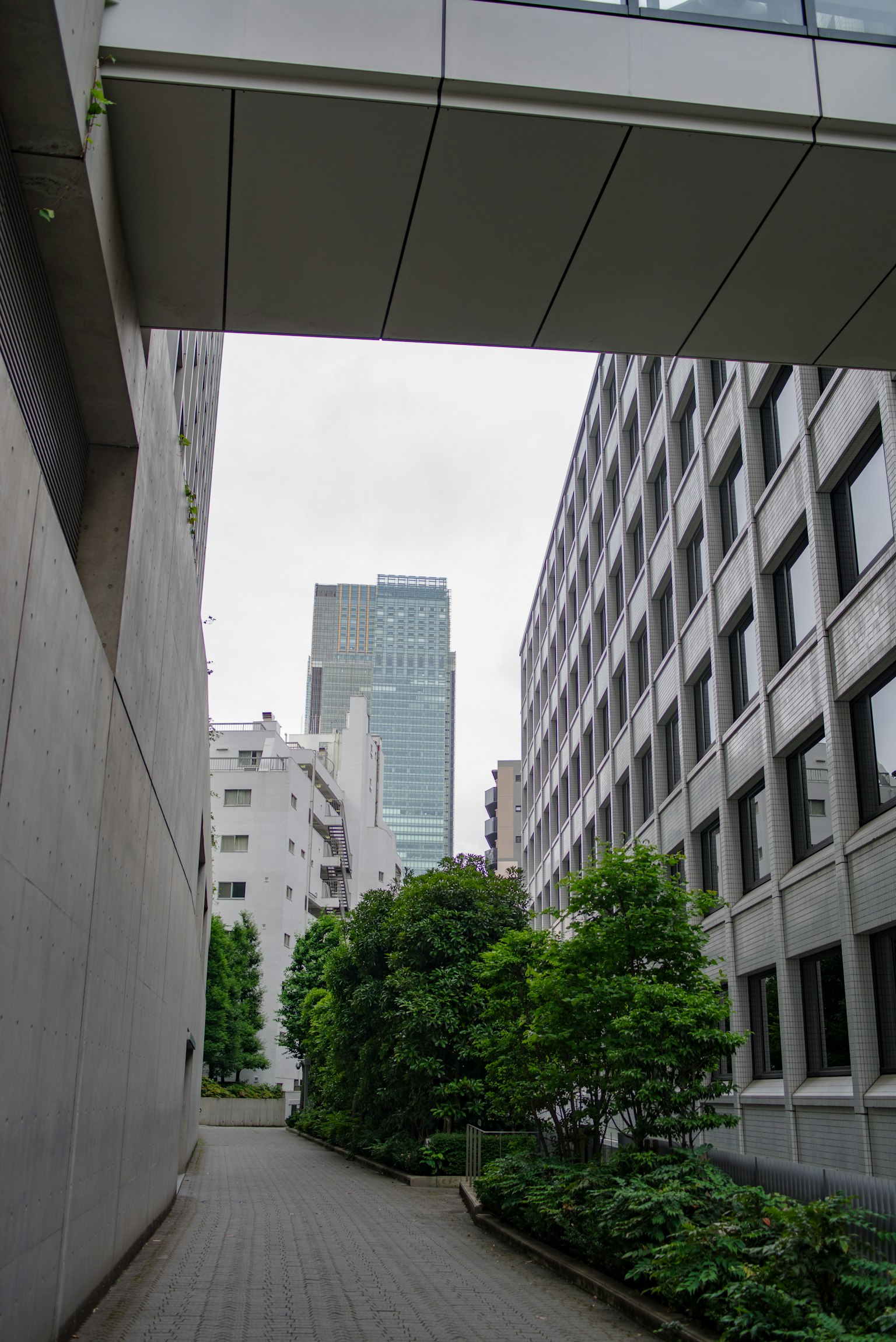 Urban walkway with greenery and skyscraper